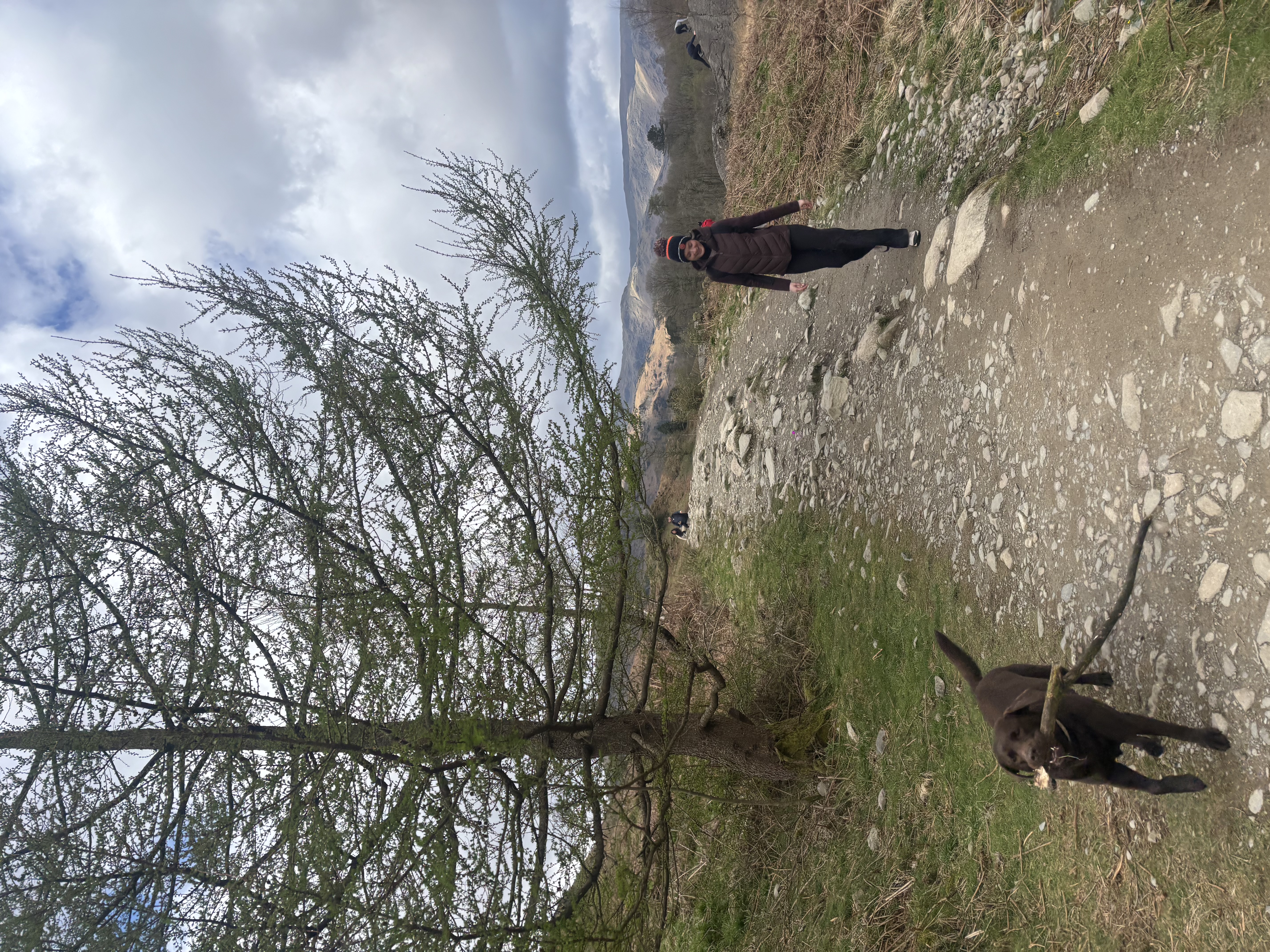 image-1