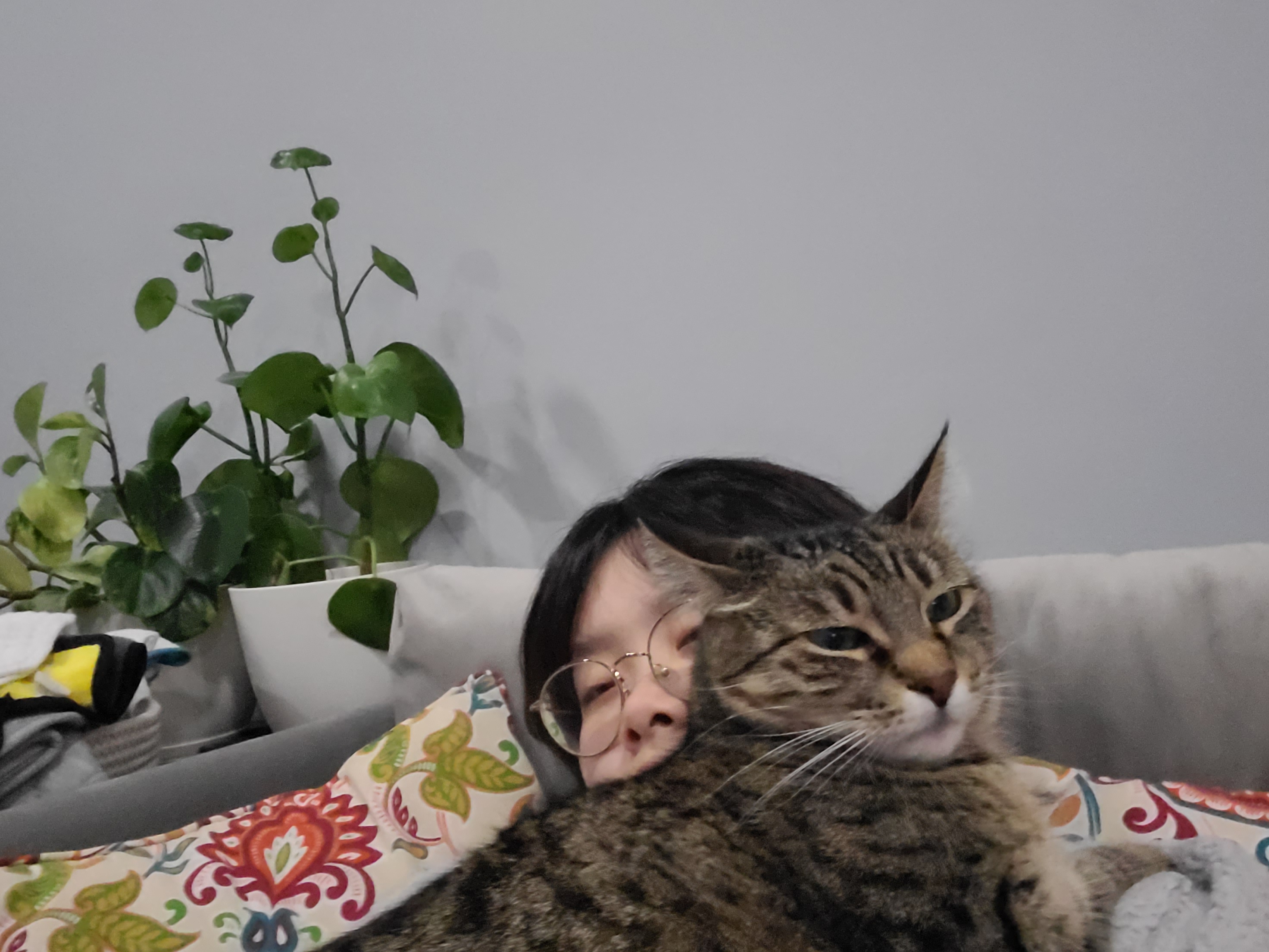 image-5