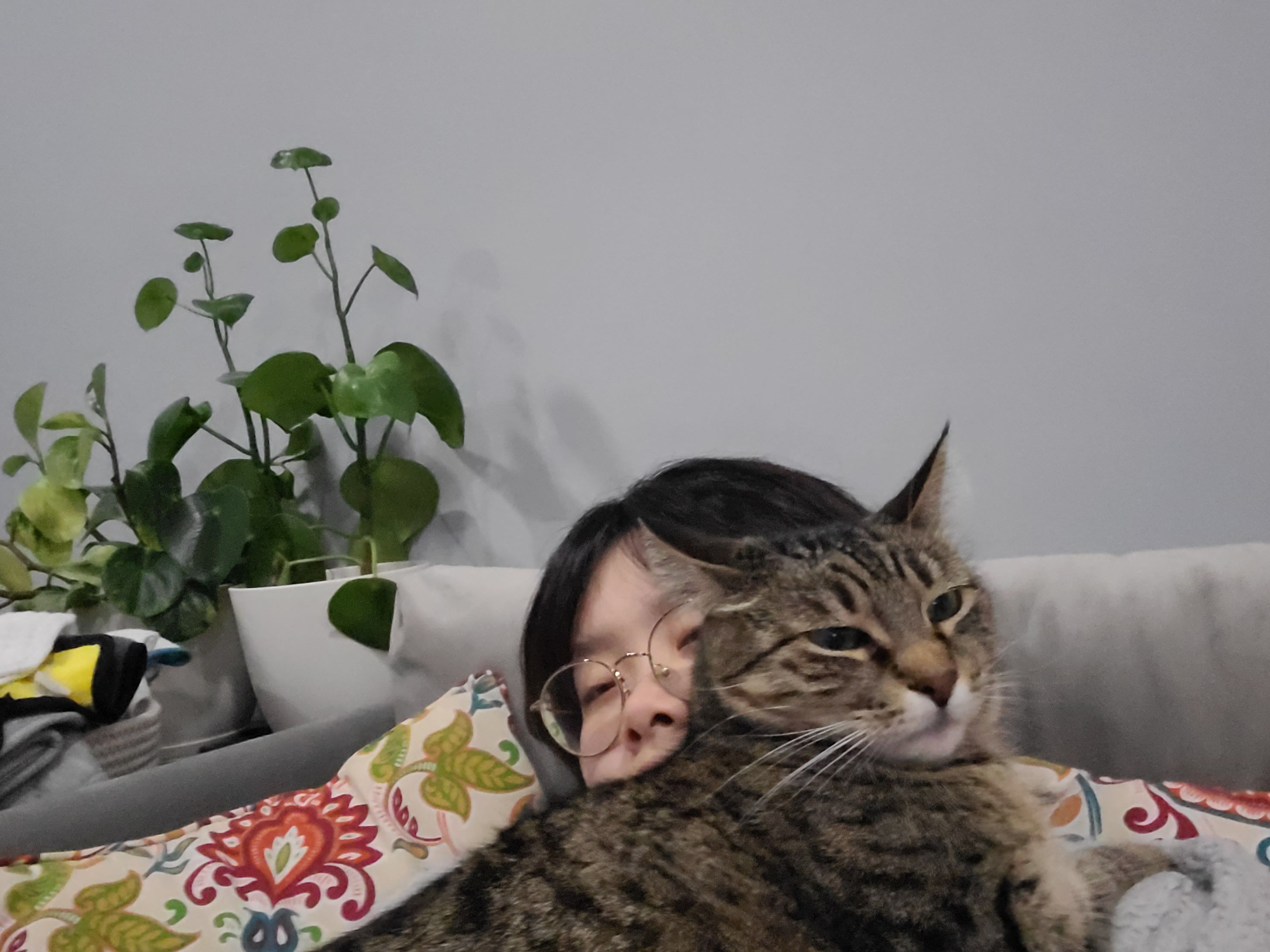 image-5