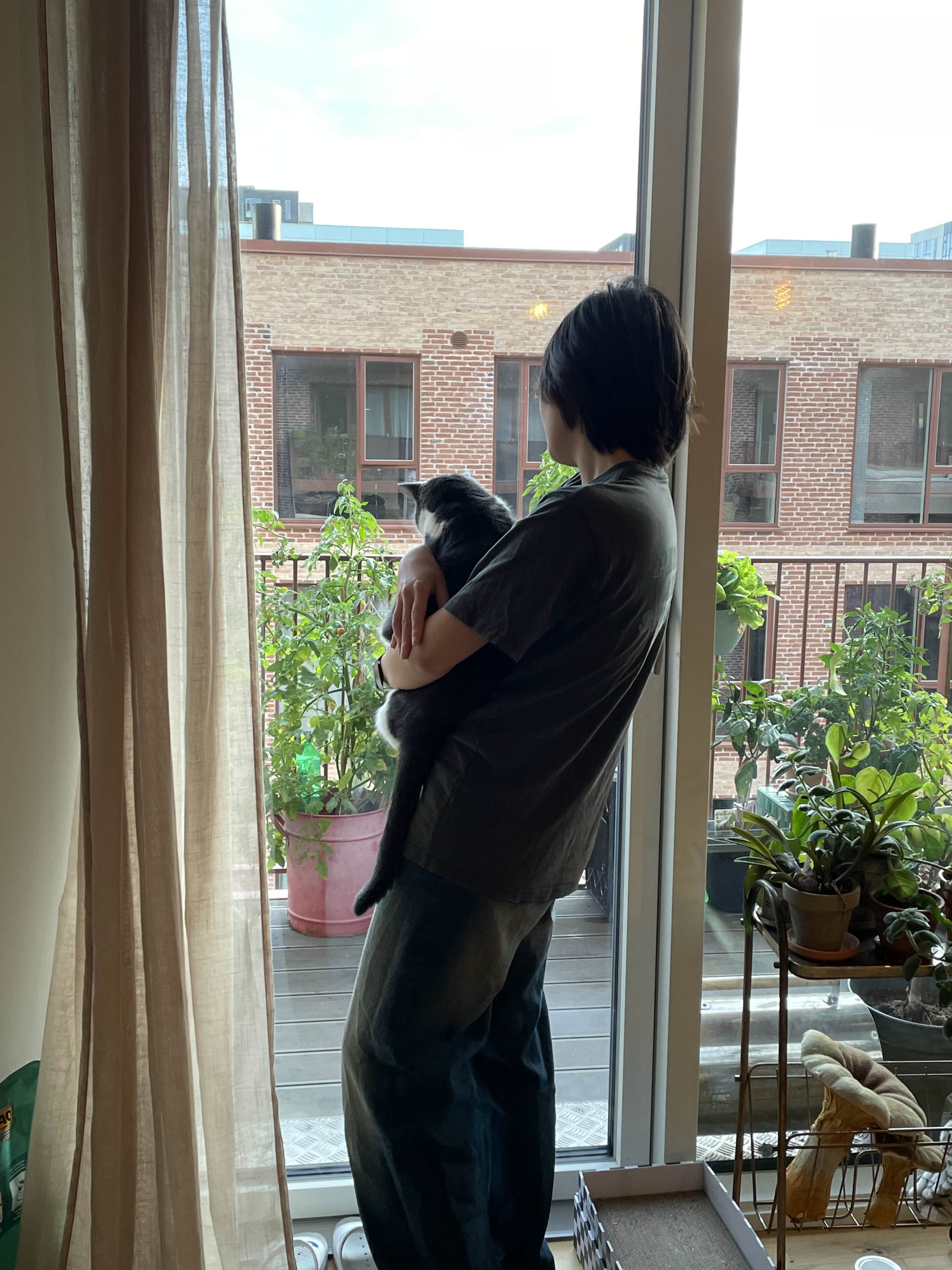 image-8