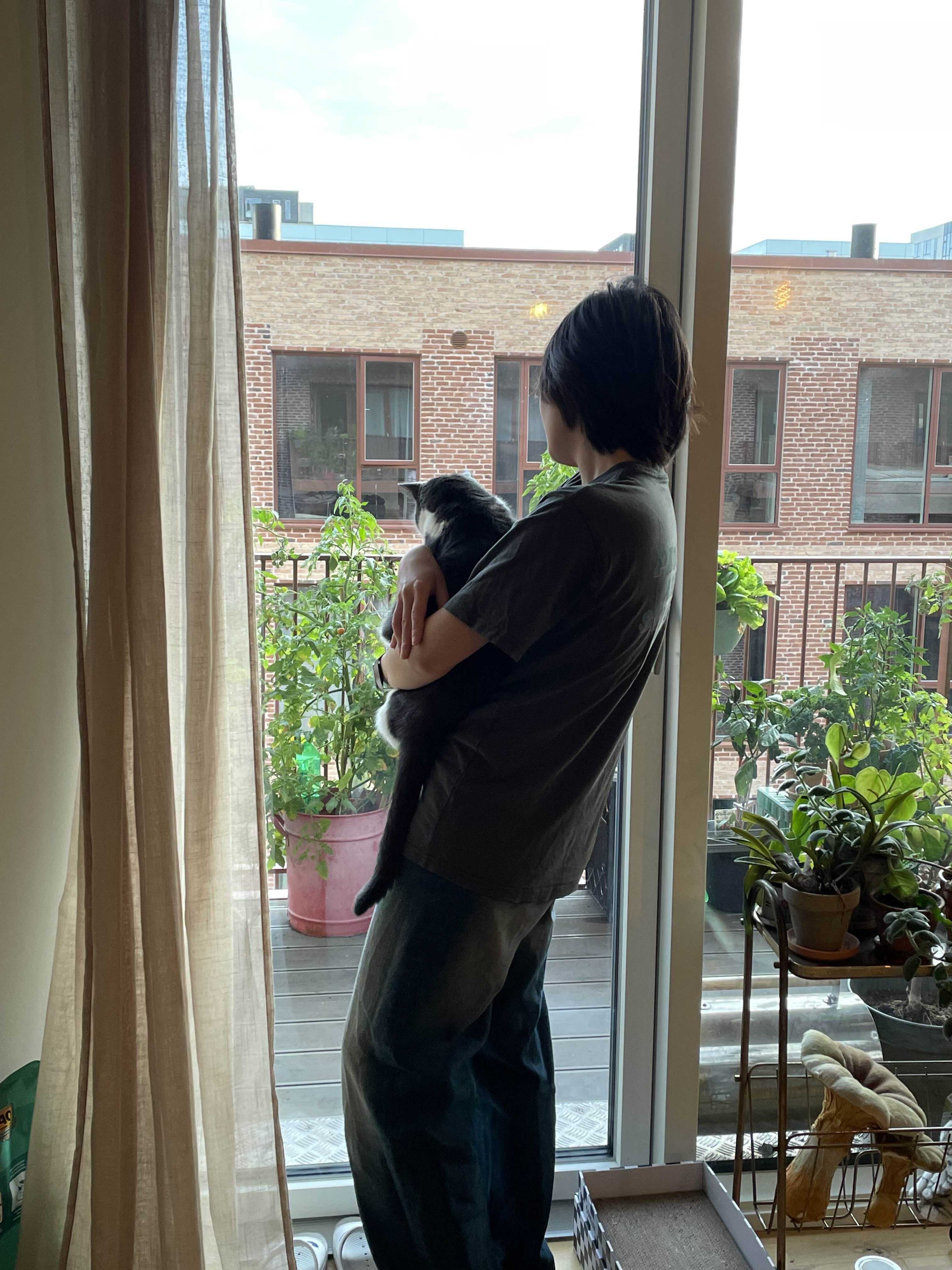 image-8
