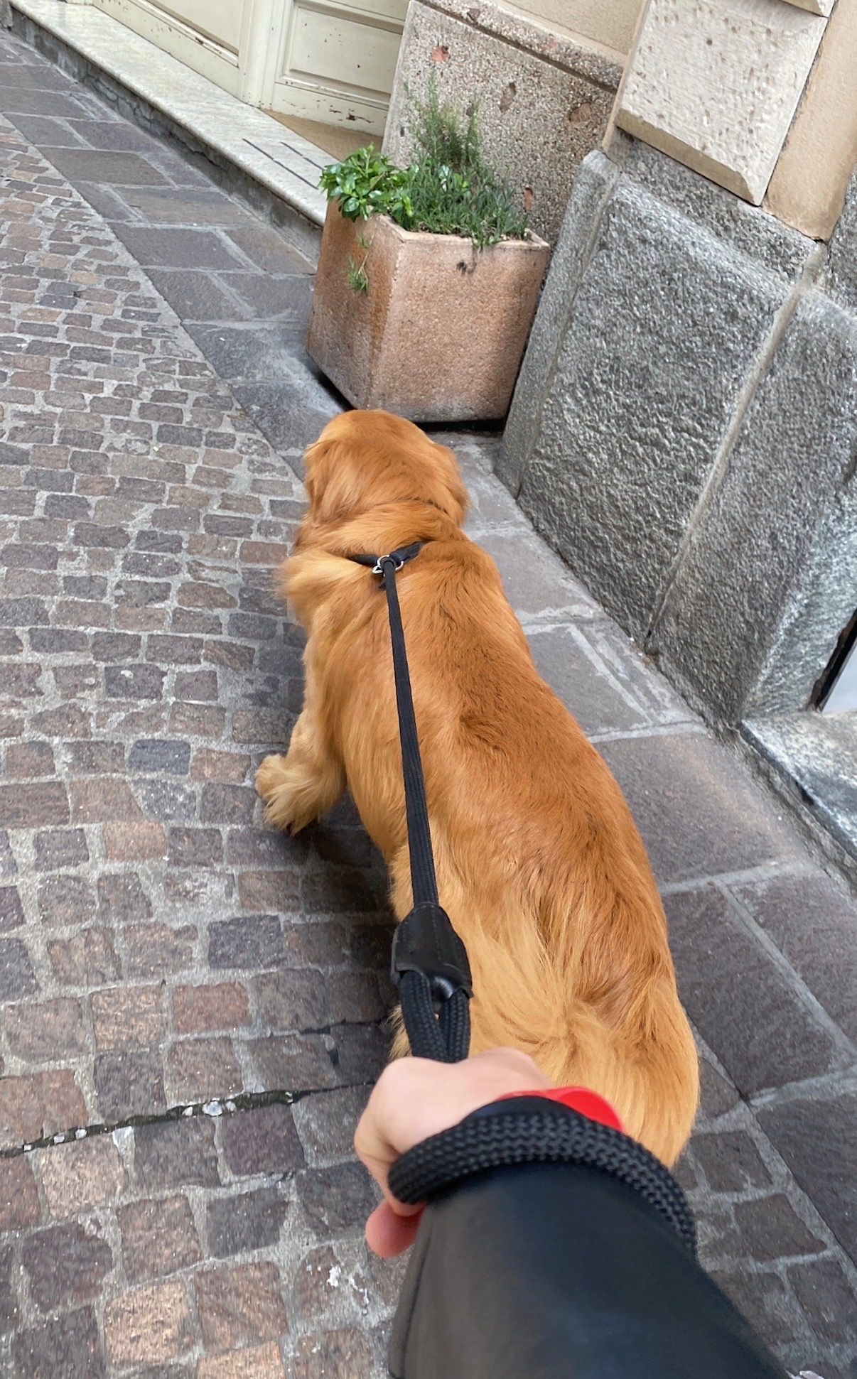 image-6