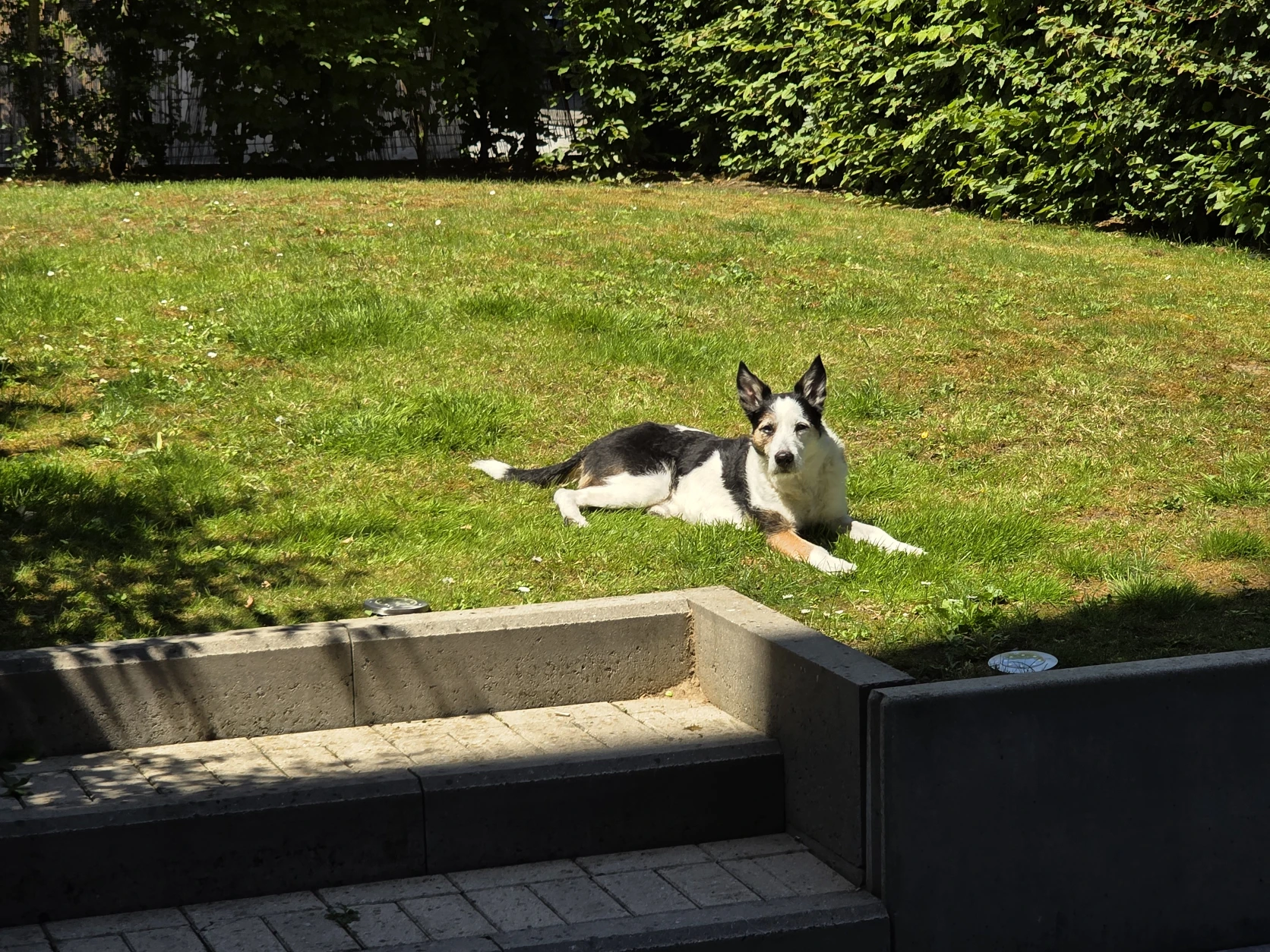 image-15