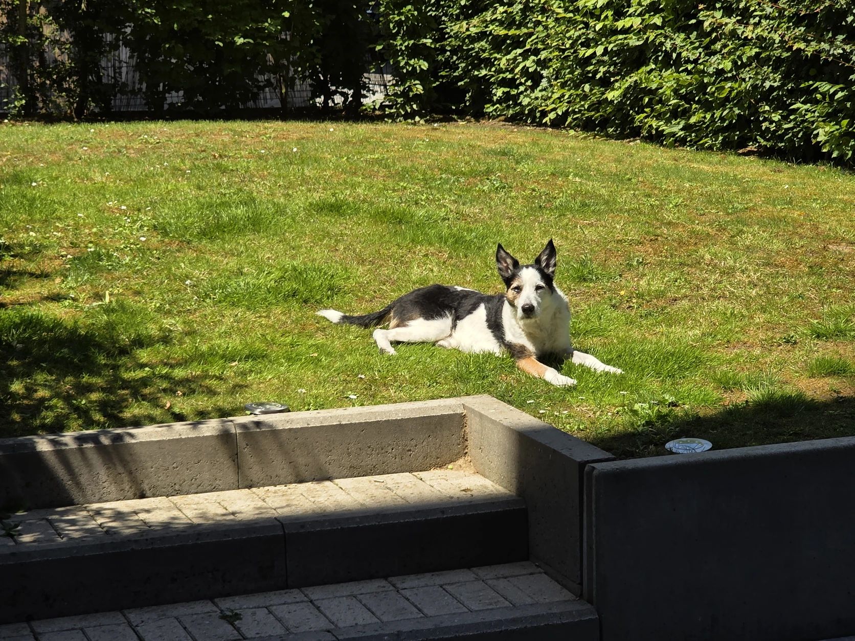 image-15