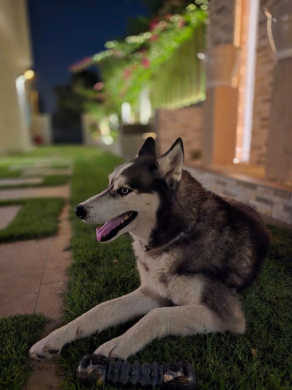 image-12