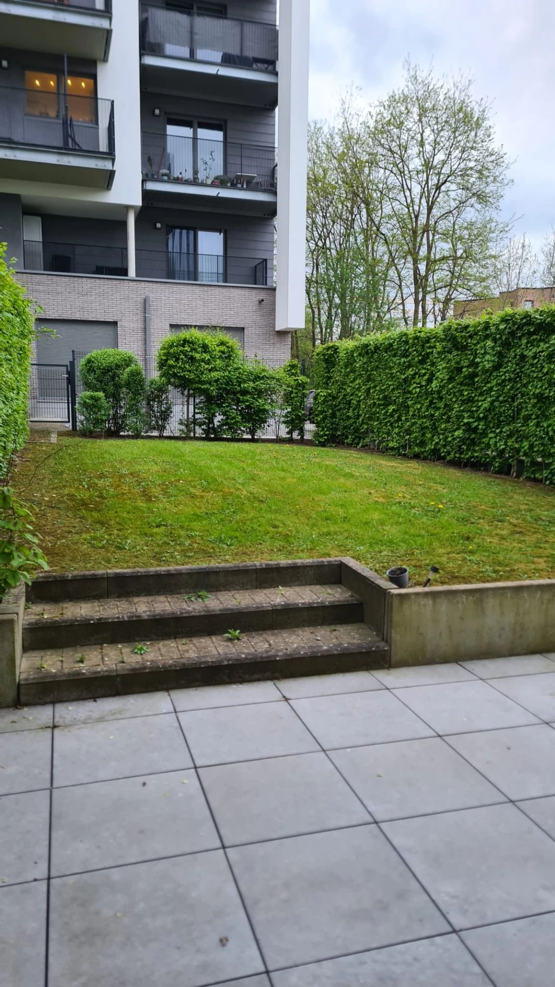 image-15
