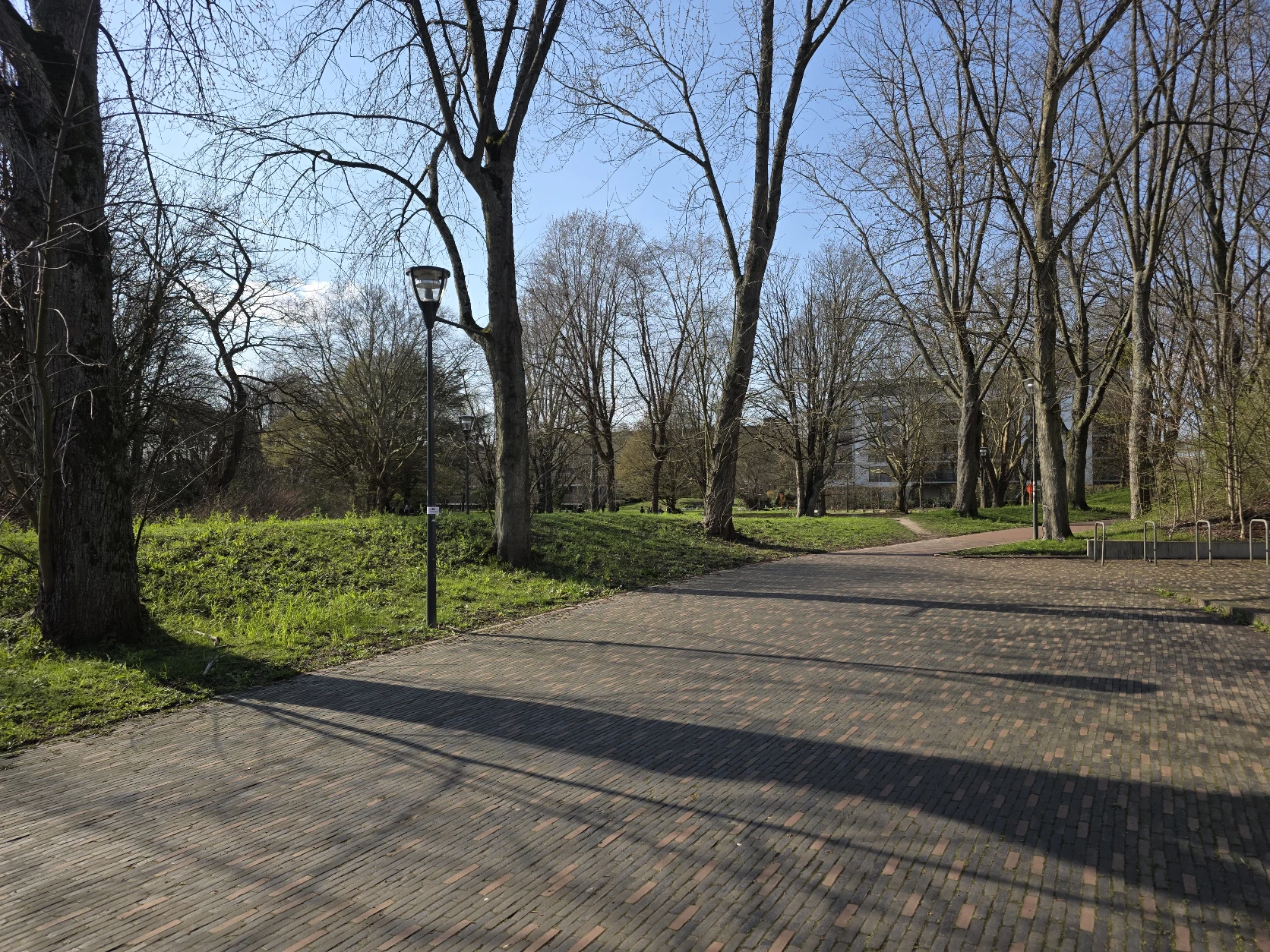 image-18