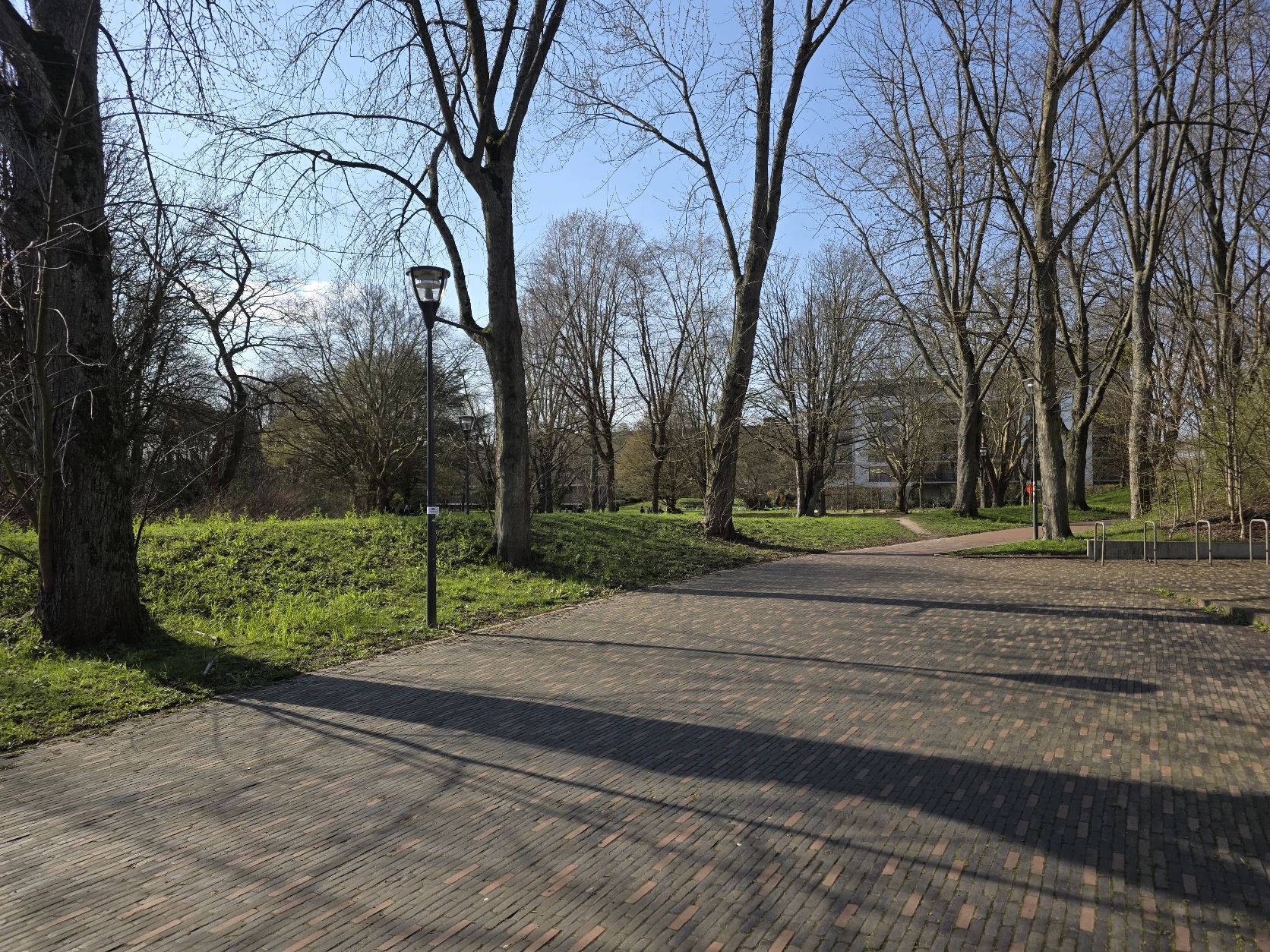 image-18