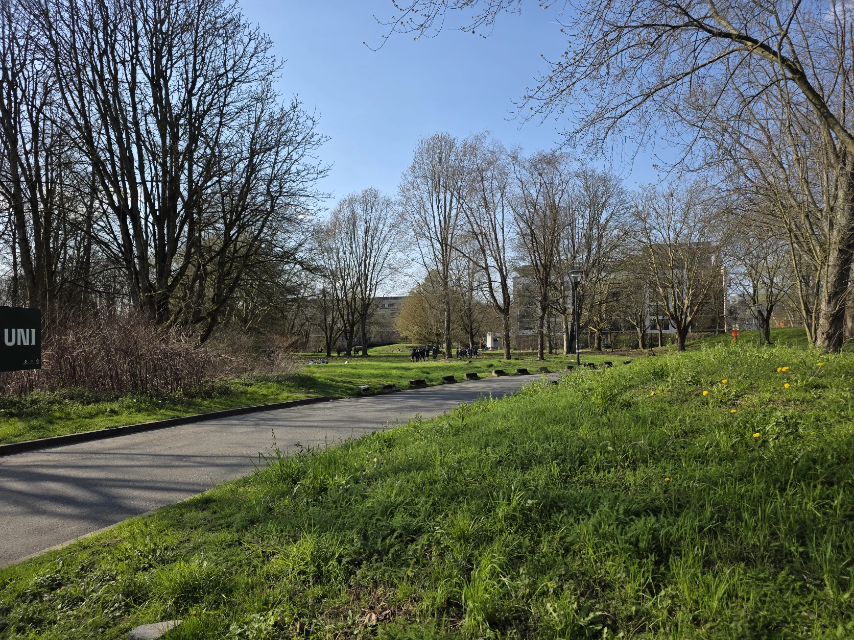 image-20
