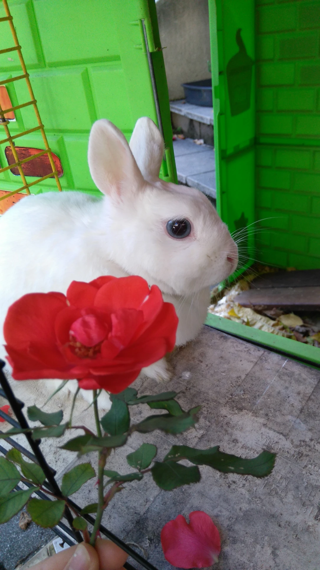 image-4