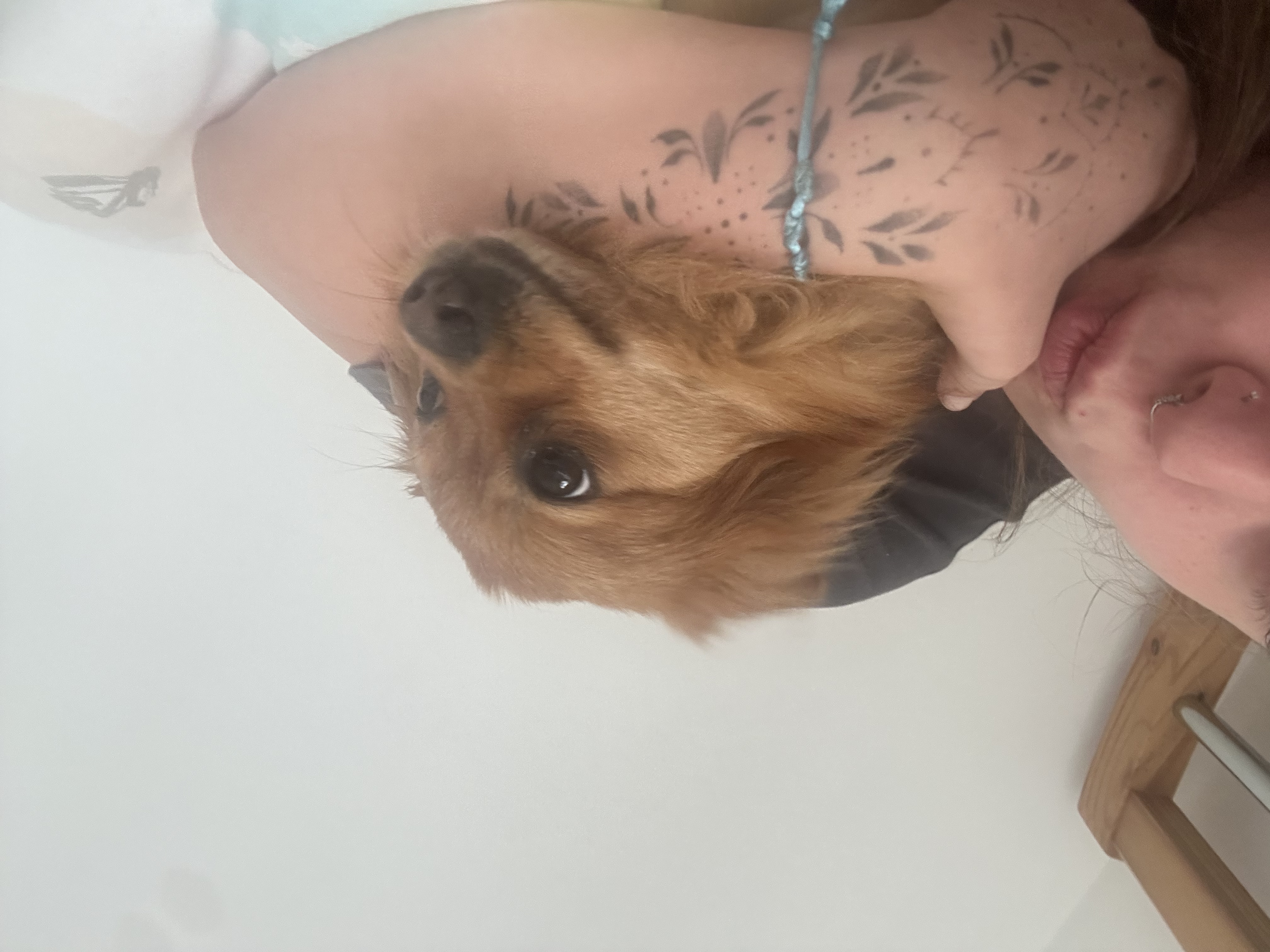 image-7