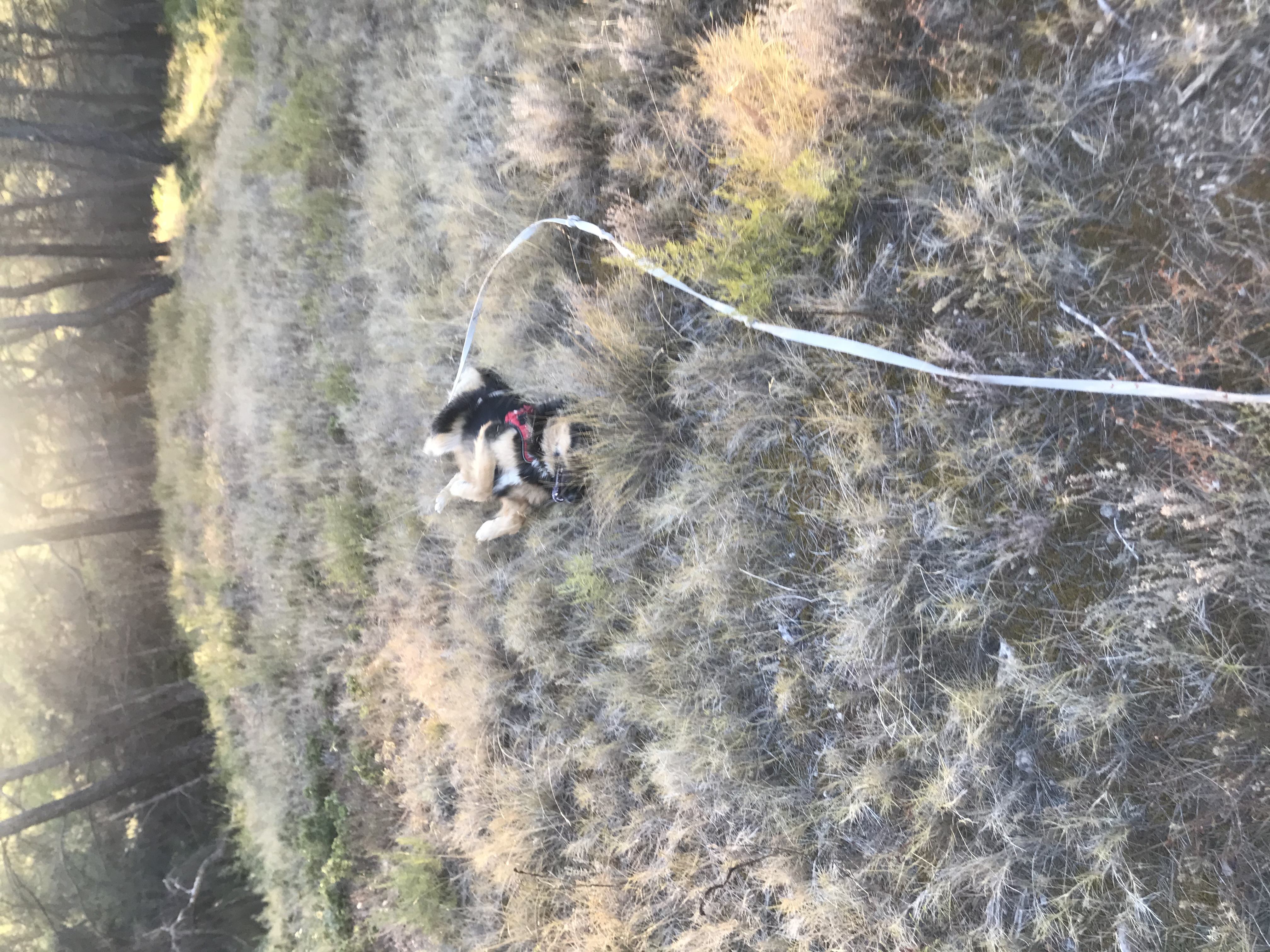 image-8
