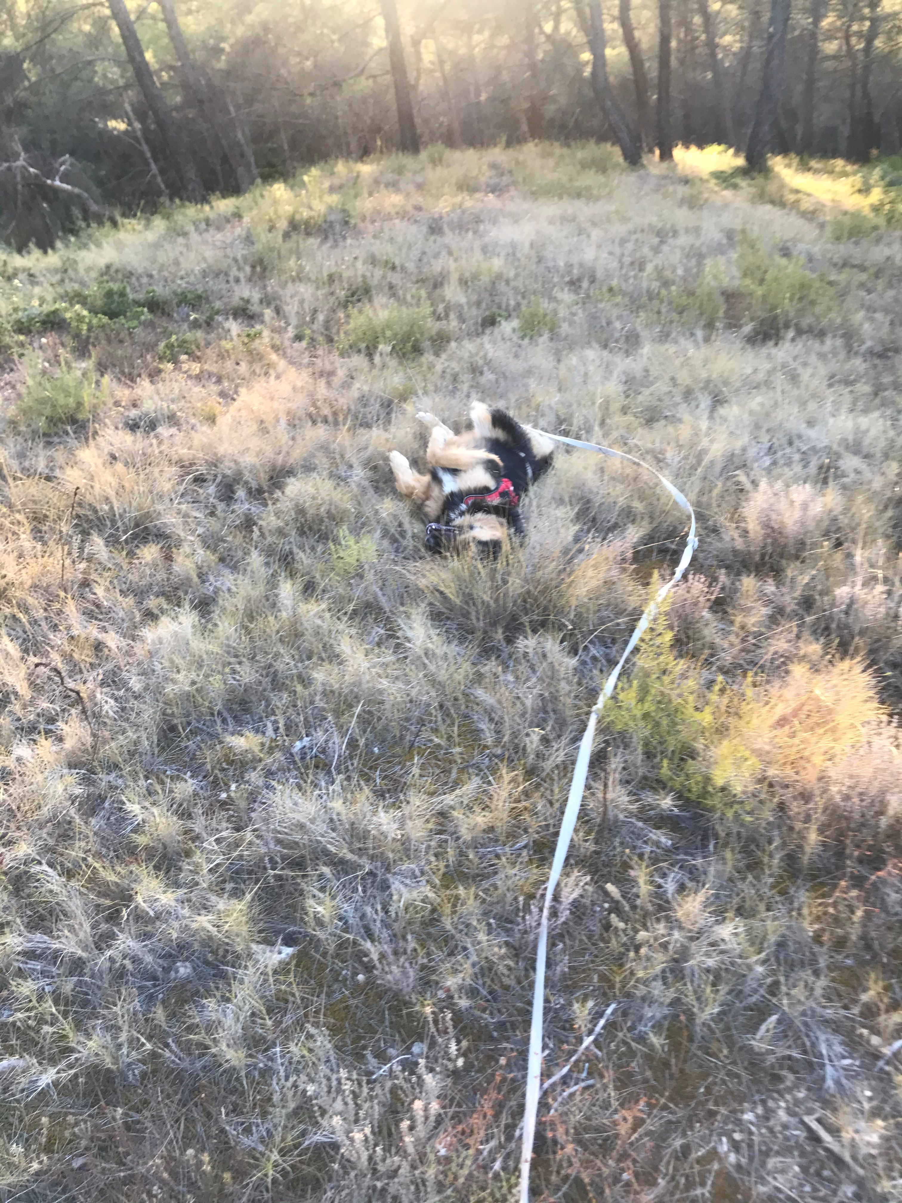 image-8