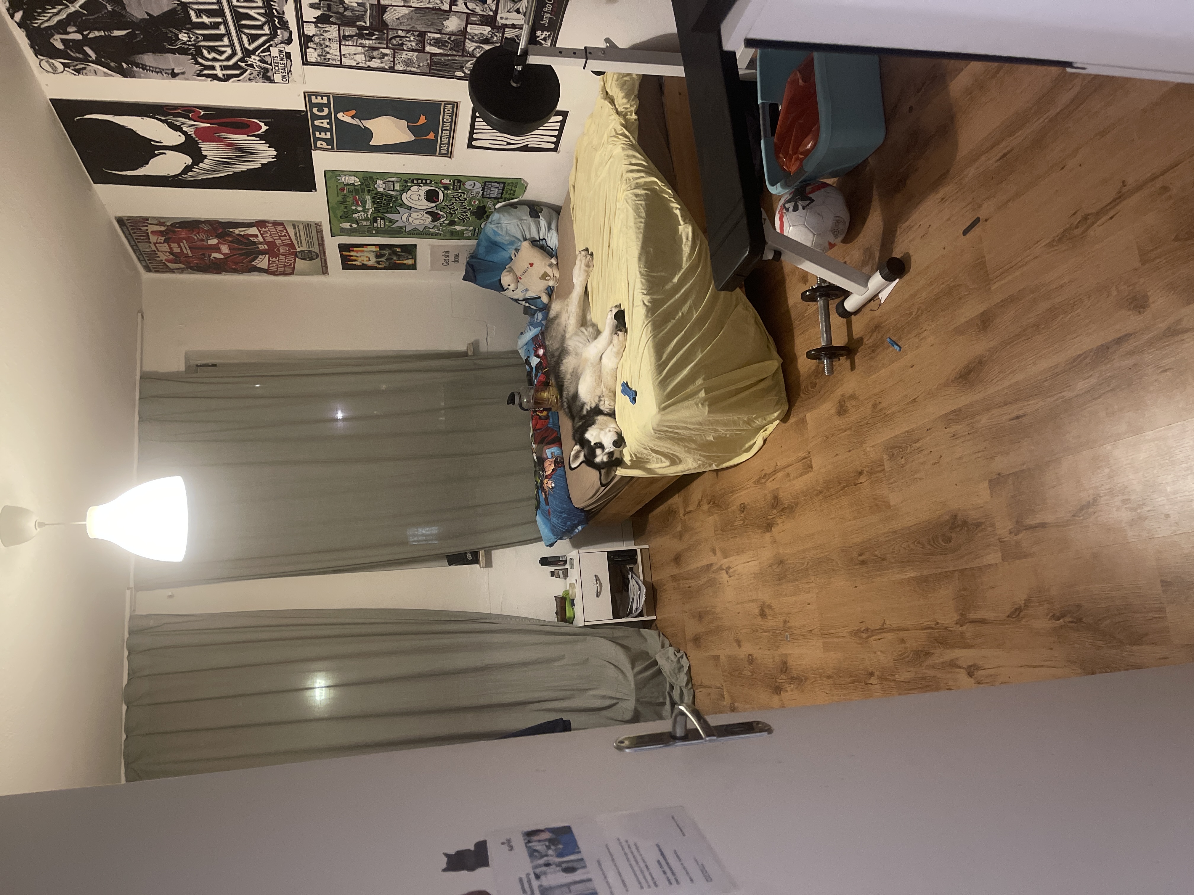 image-11