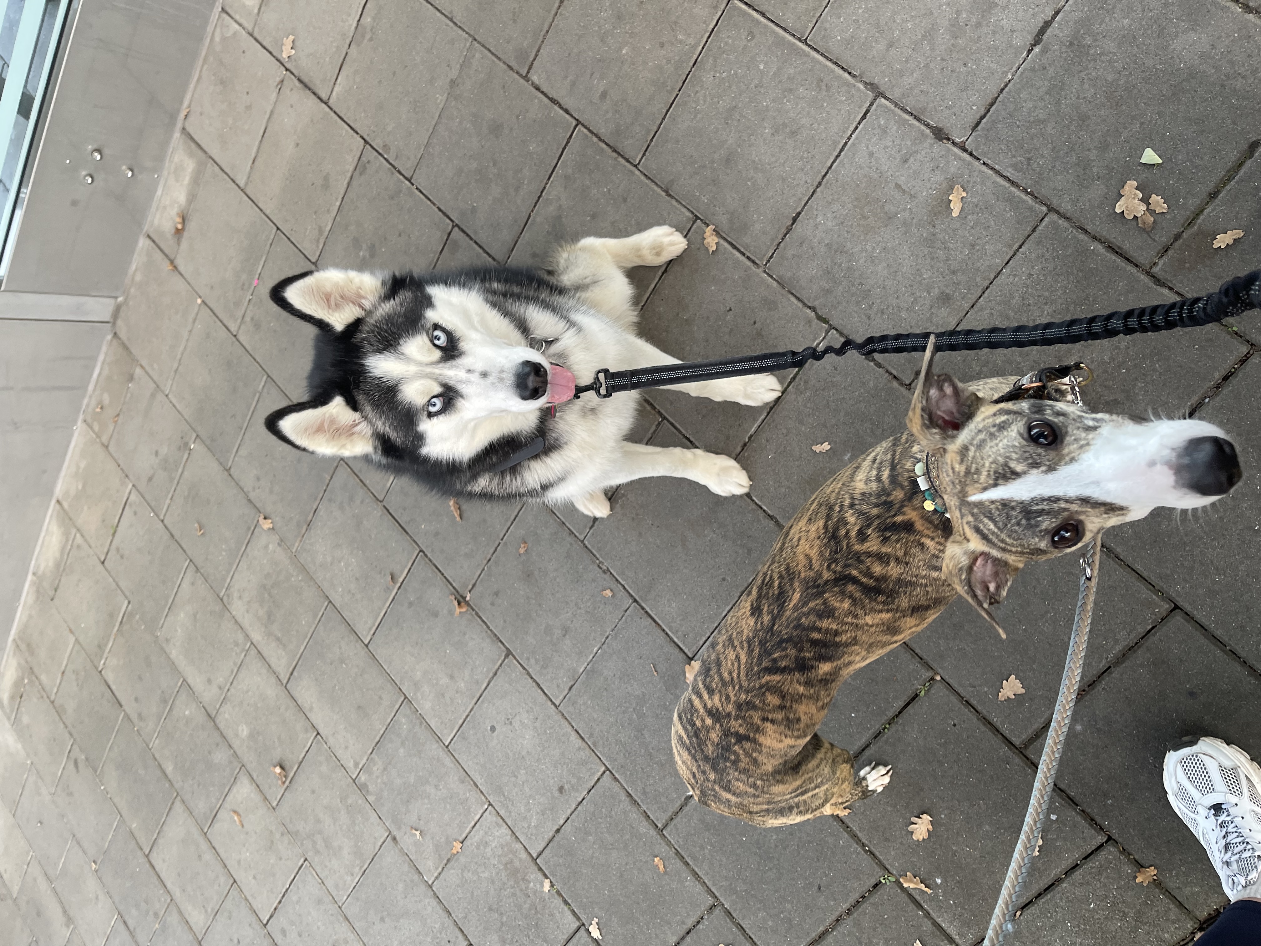 image-10