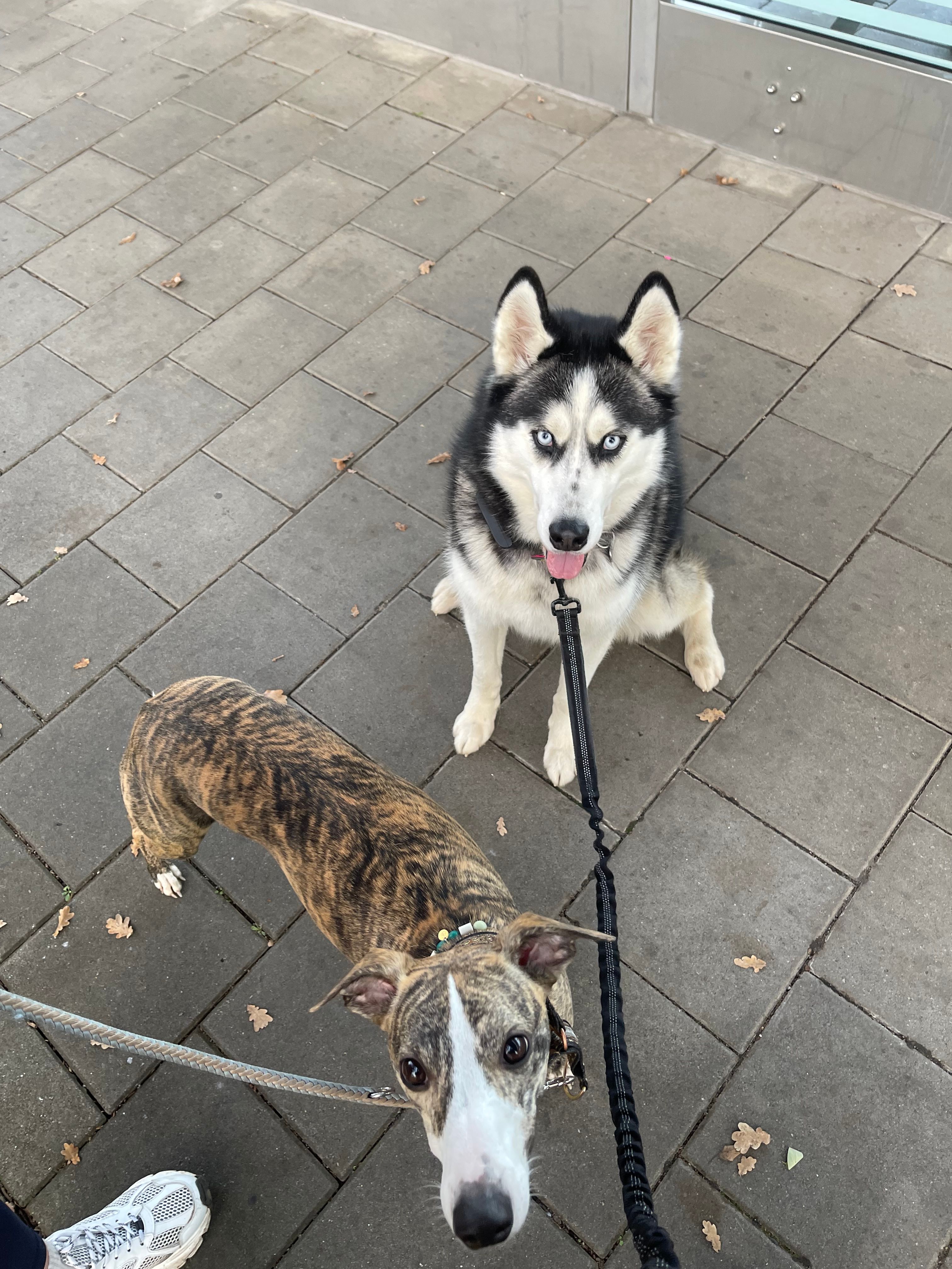 image-10