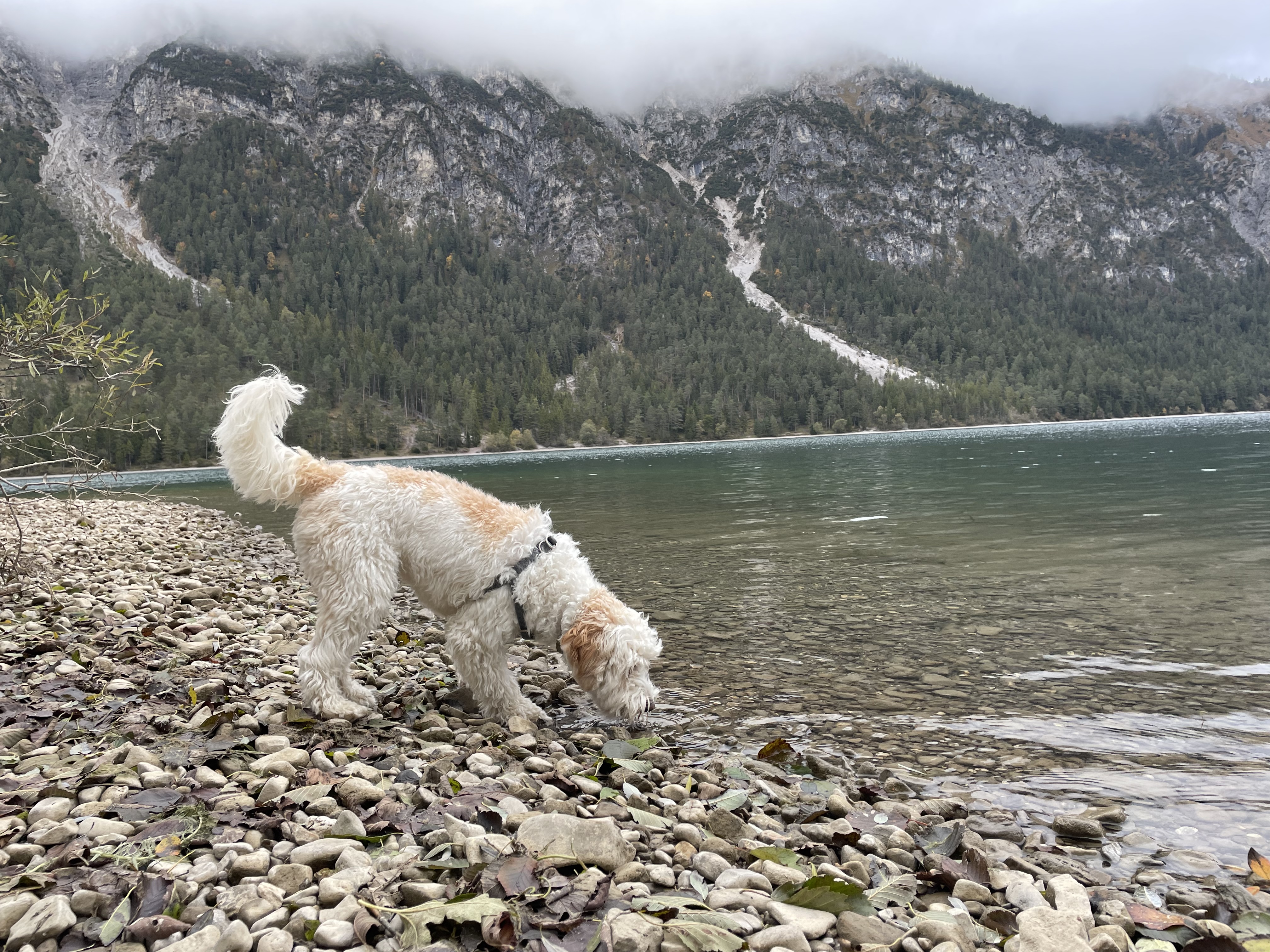 image-5