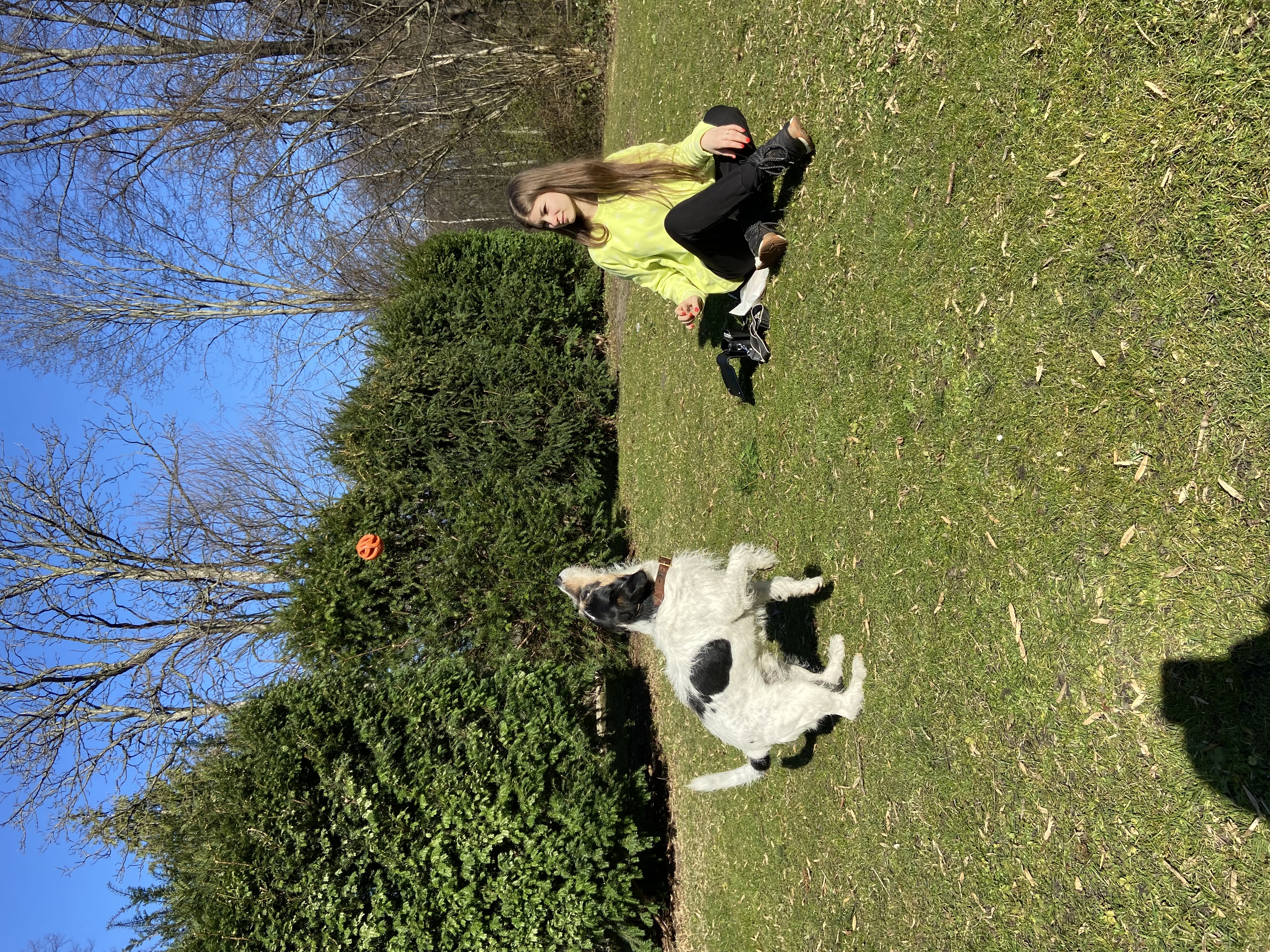 image-3
