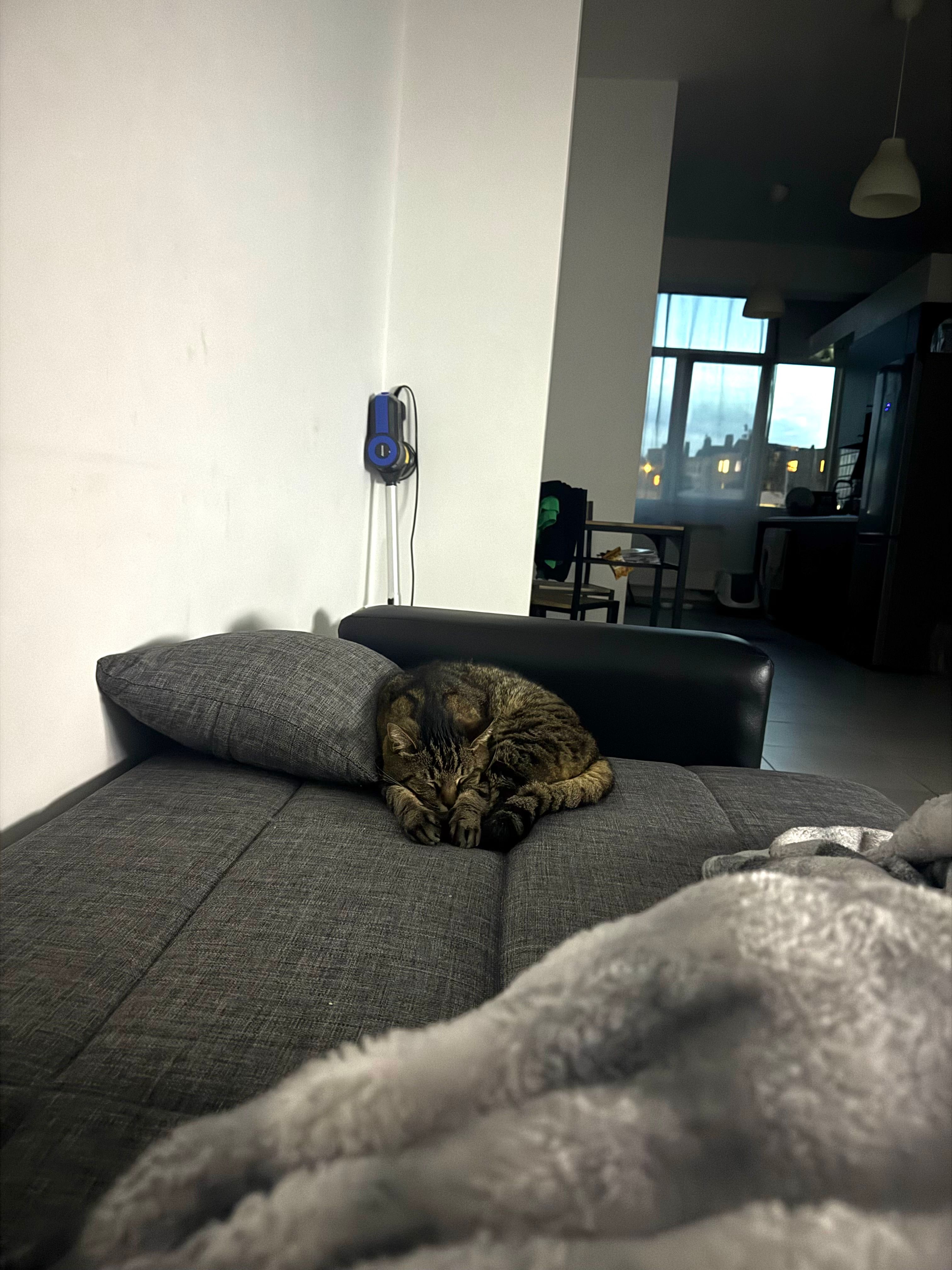 image-14