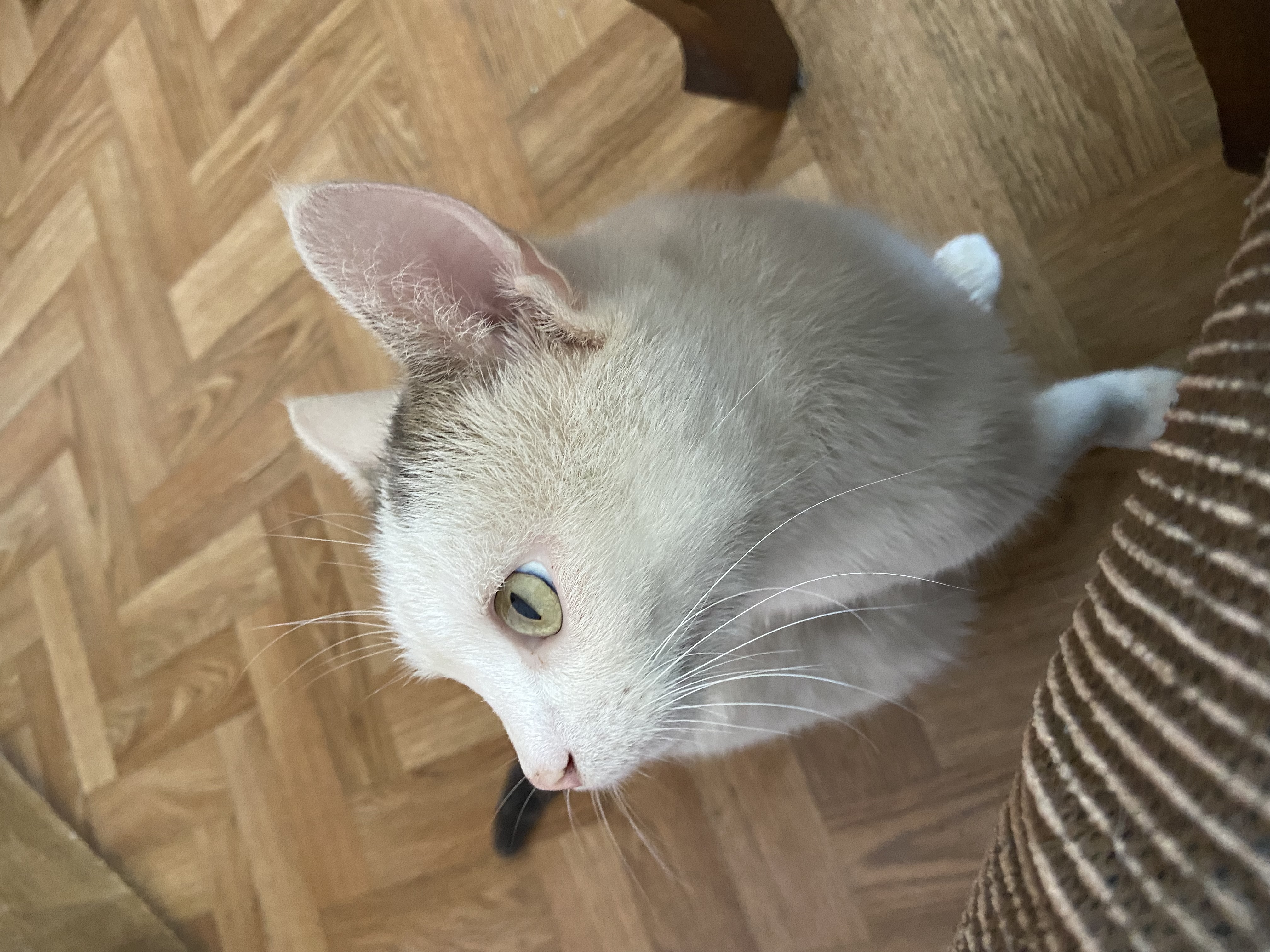 image-11
