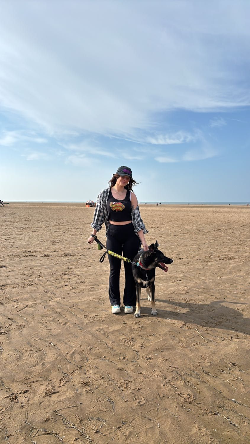 image-2