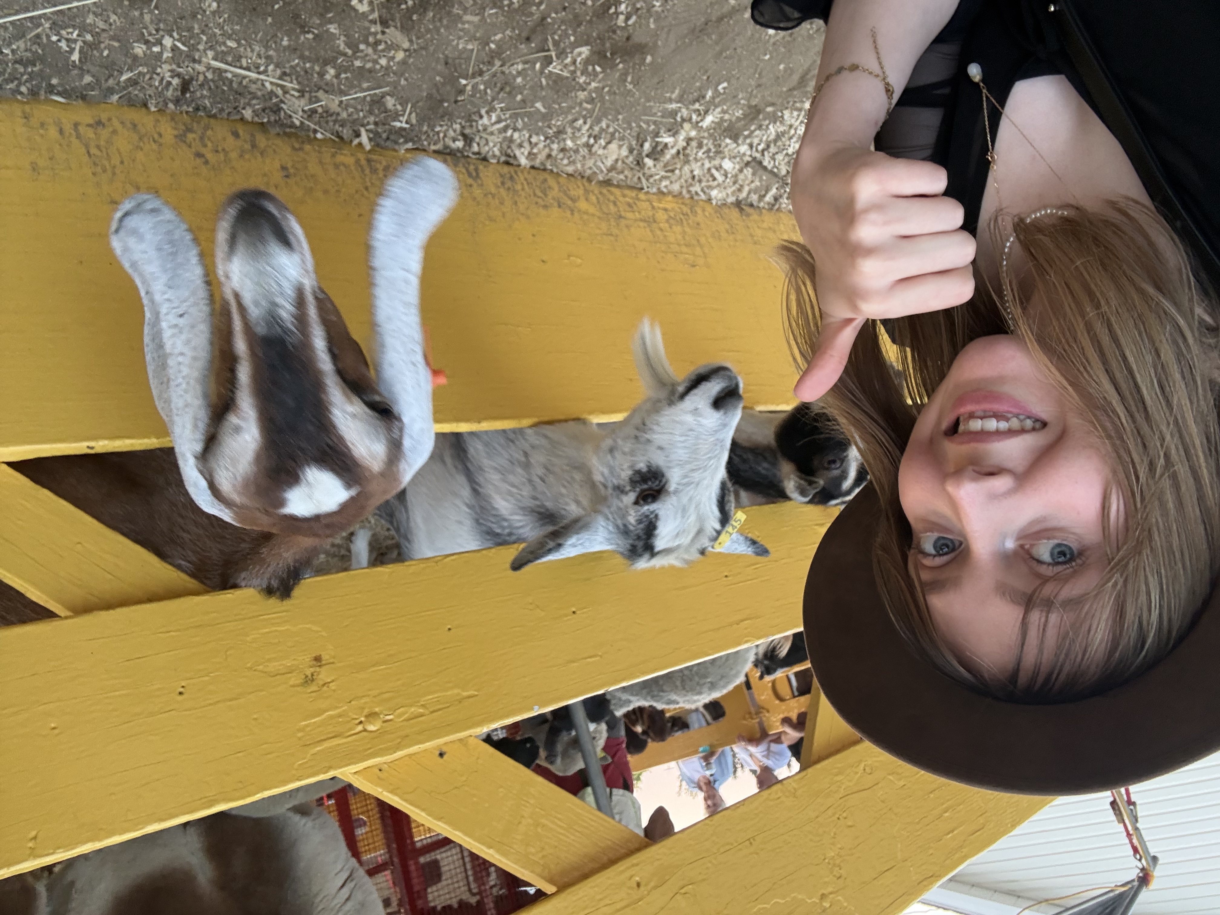 image-7