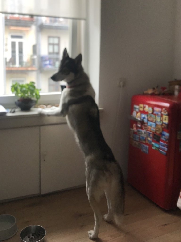 image-33