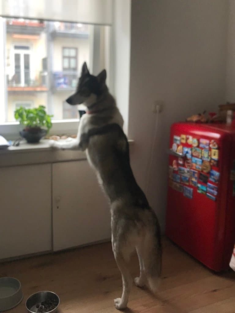 image-33