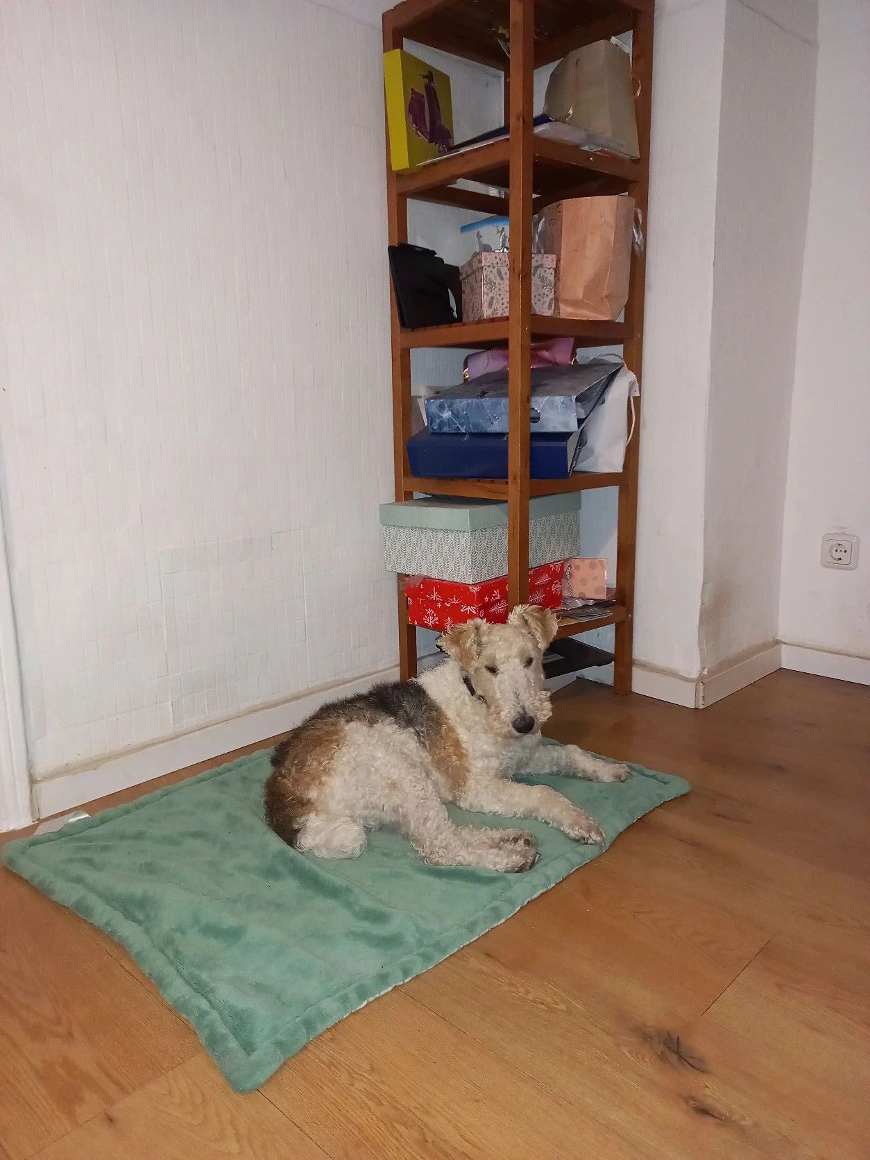 image-51