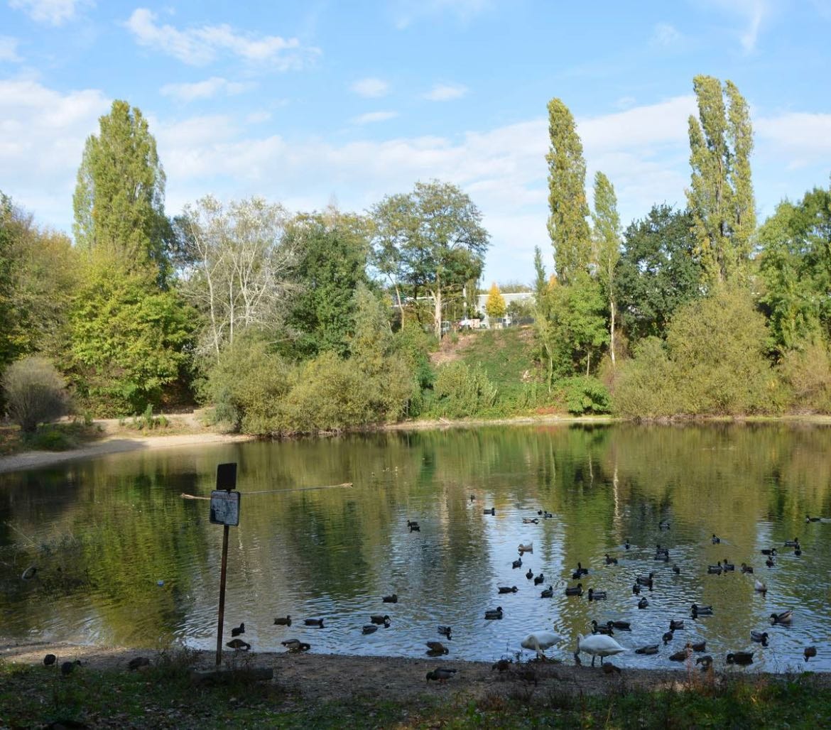 image-20