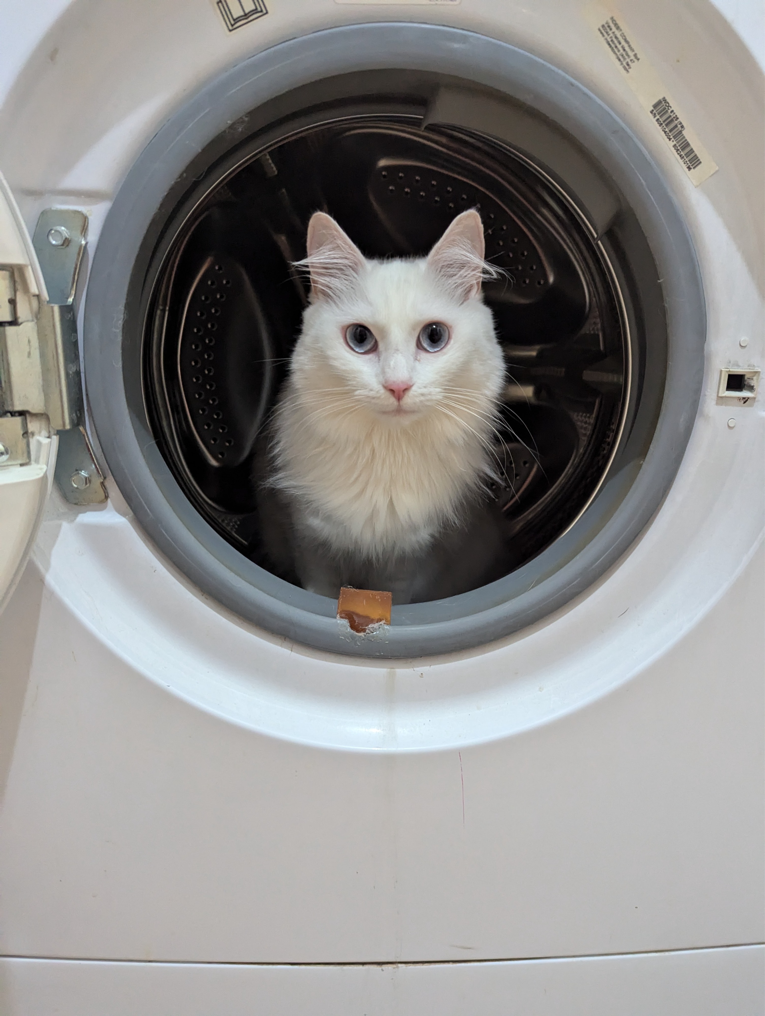 image-6