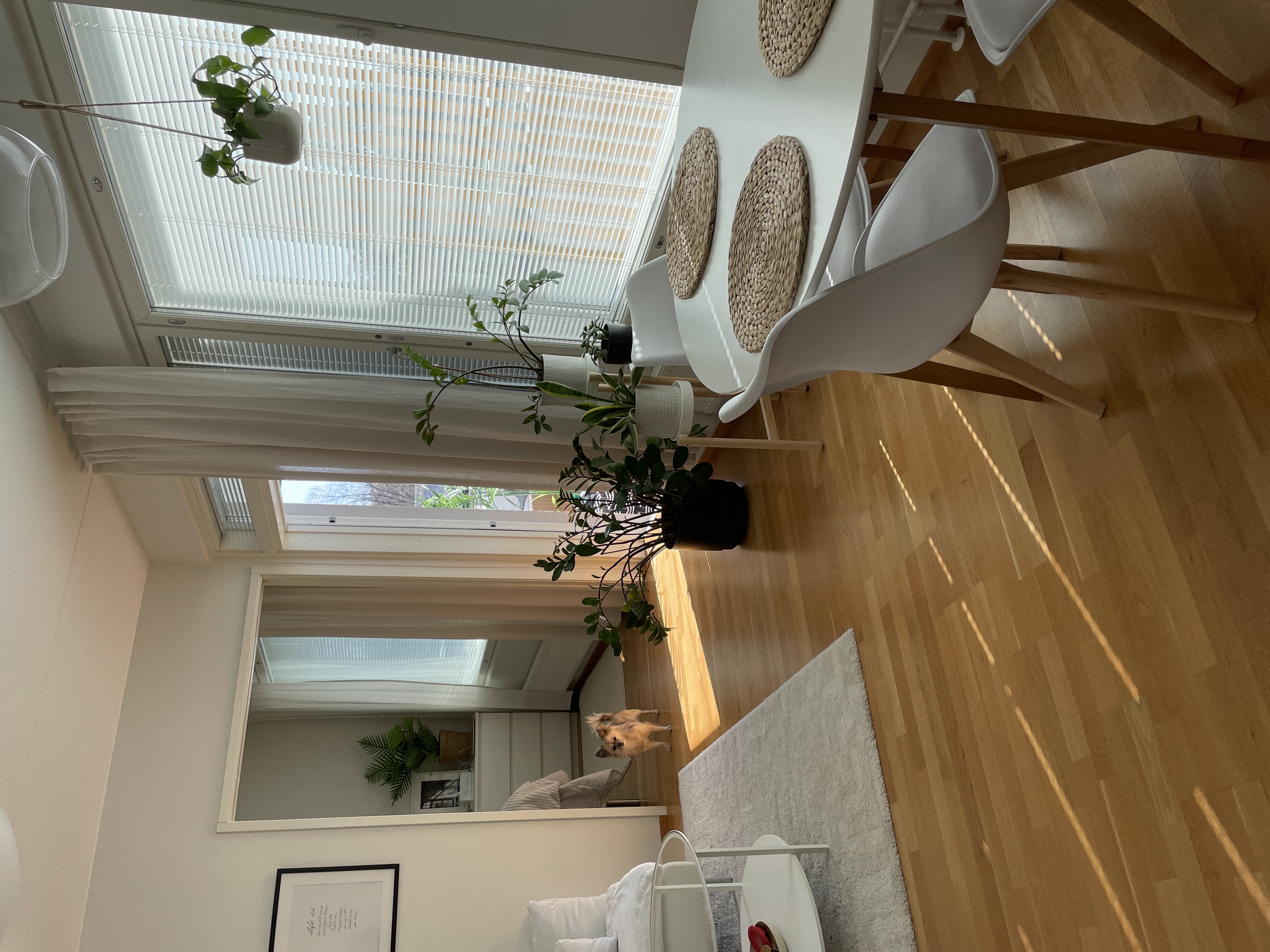 image-14