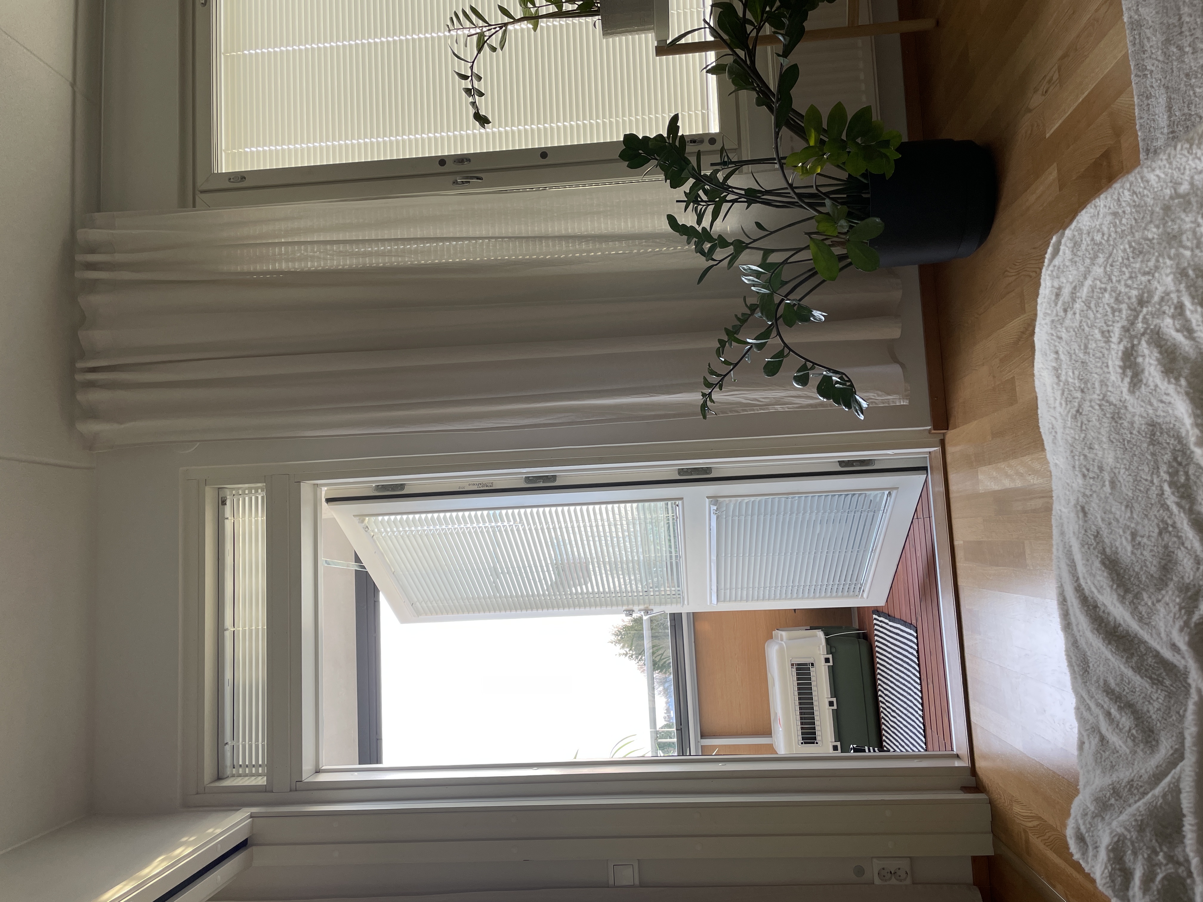 image-19