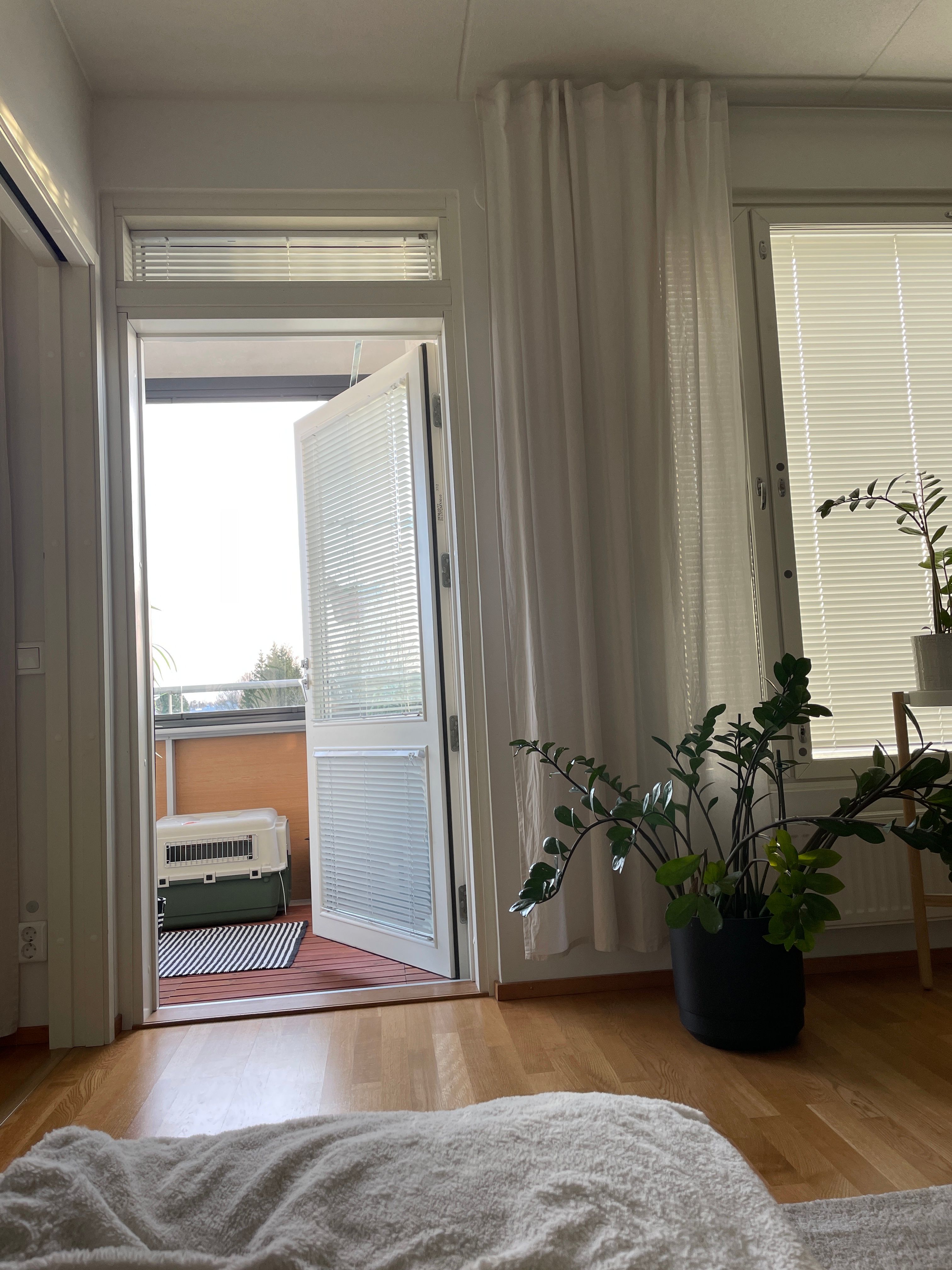 image-19