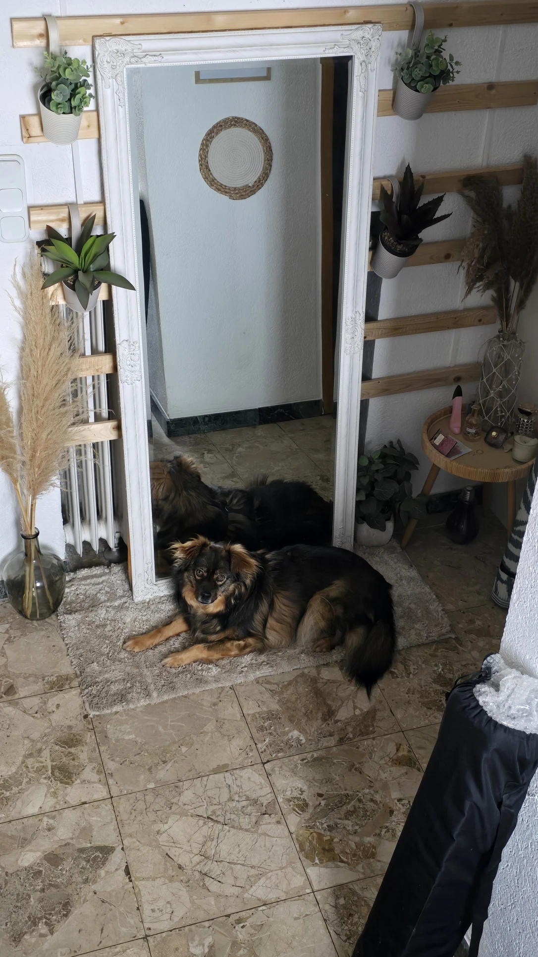image-17