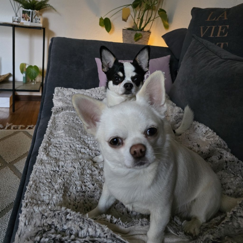 Lenny & Leo