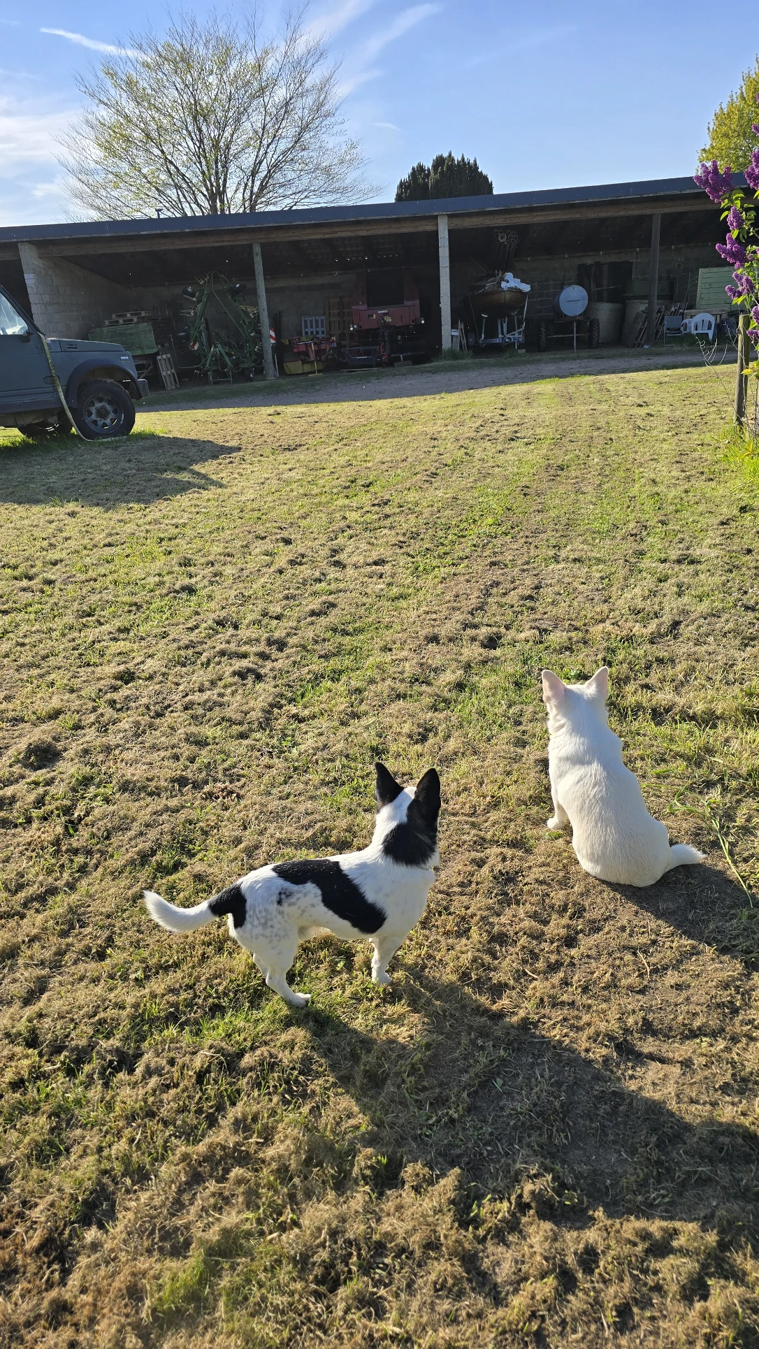 image-15