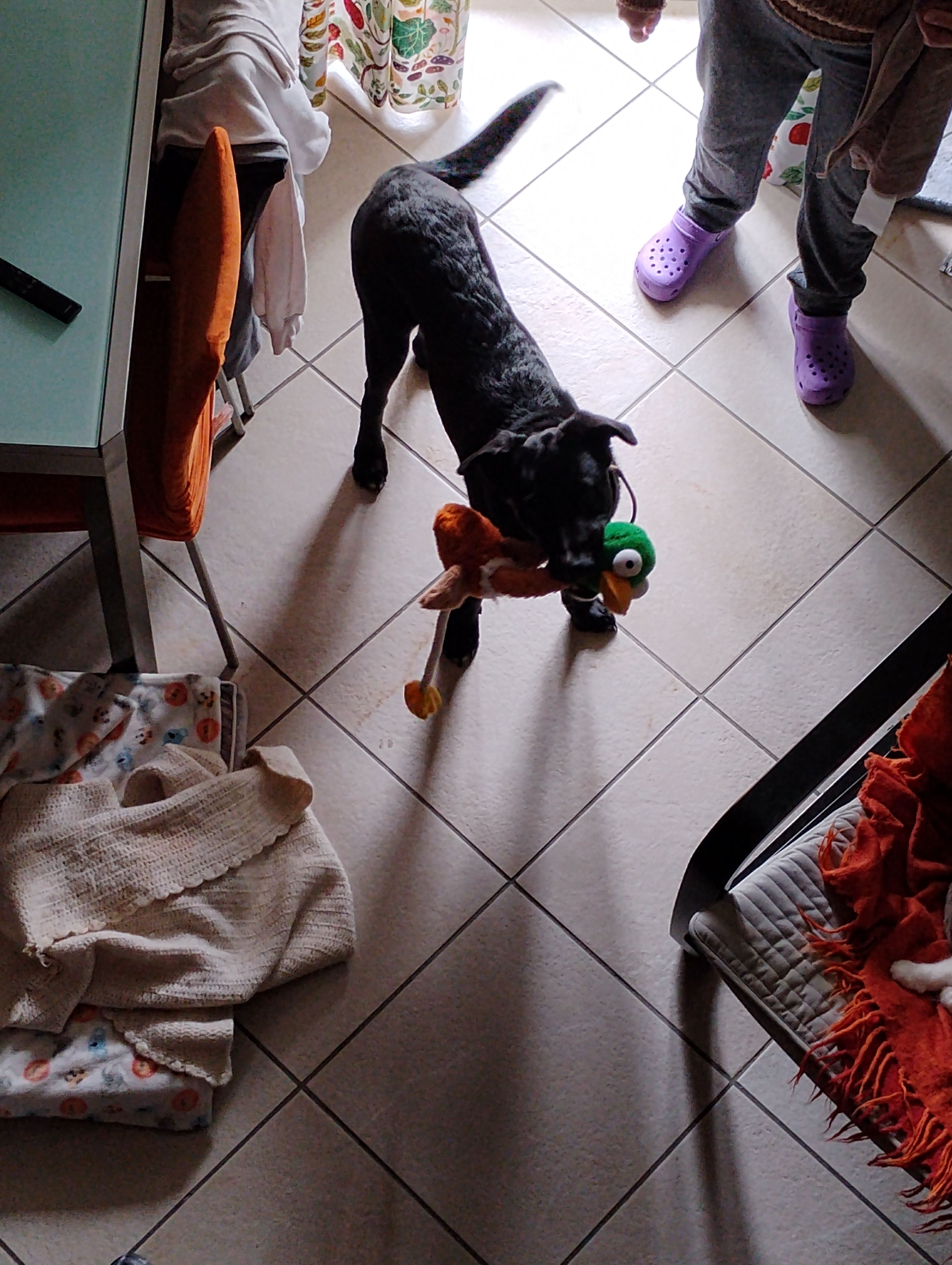 image-13