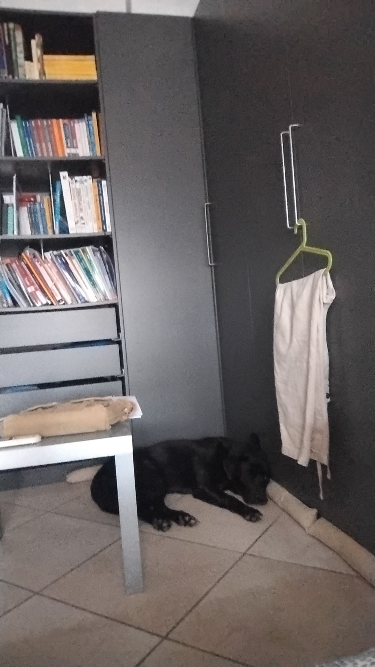image-11