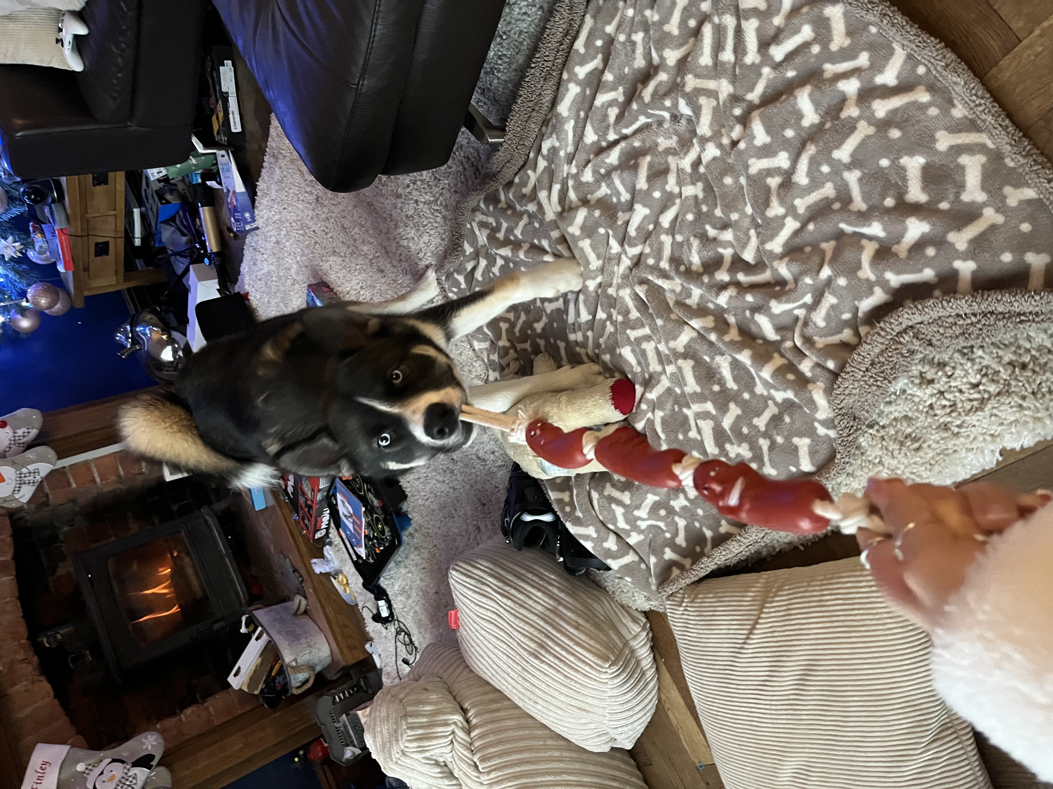 image-10