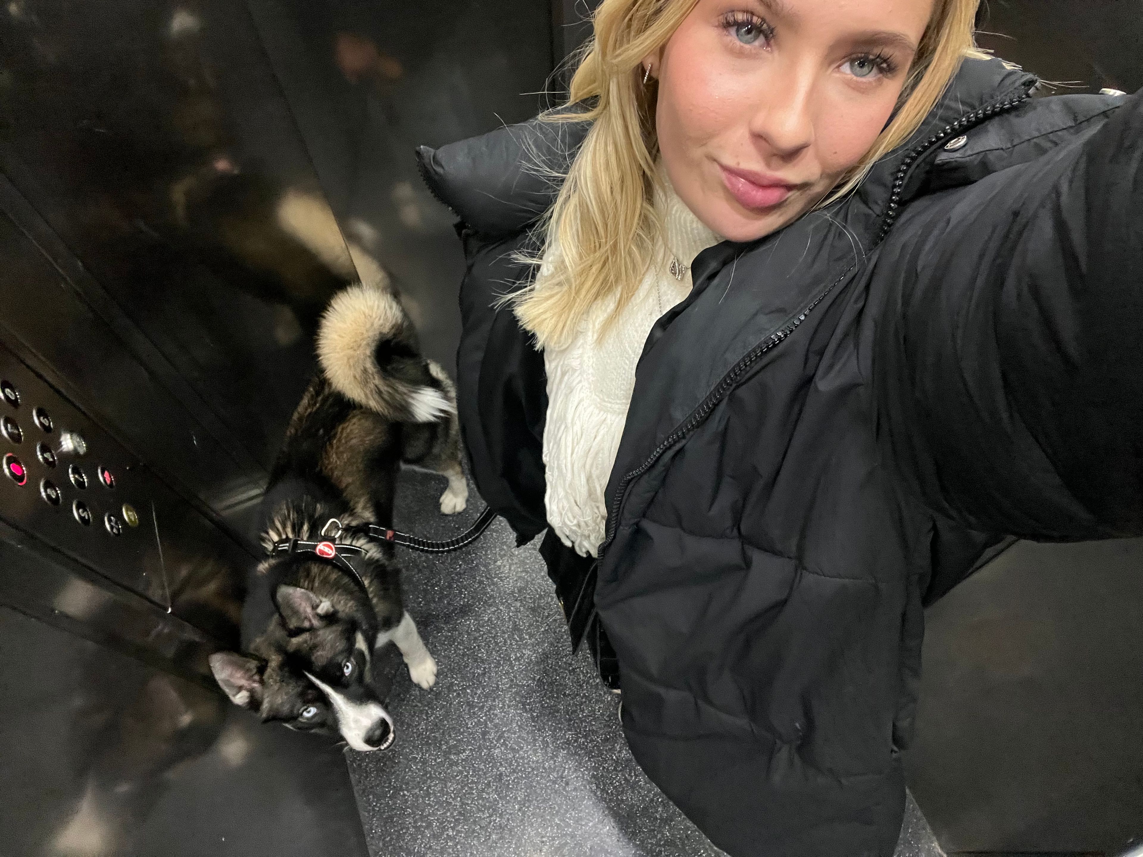 image-6
