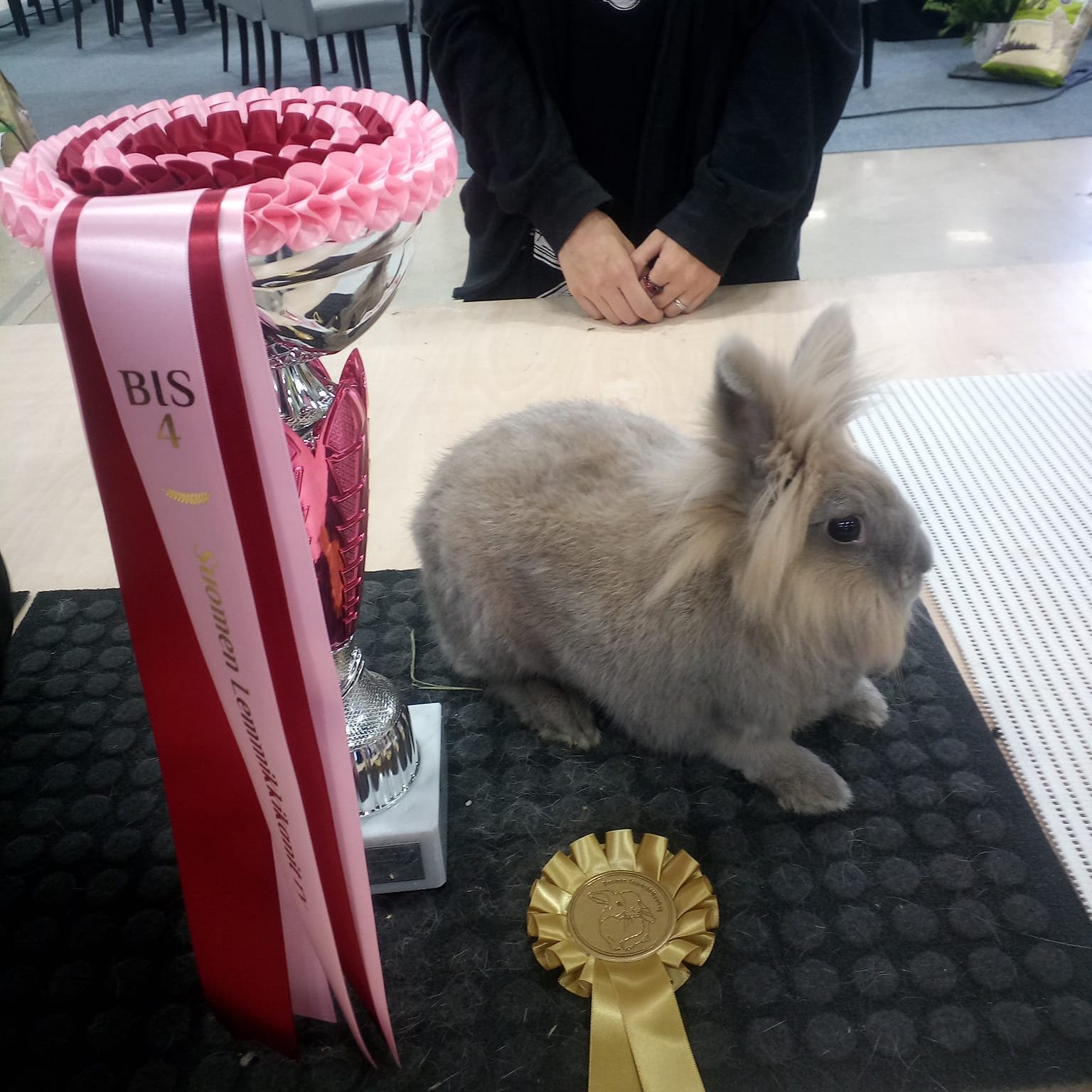 Mustikkametsän Yolanda Apple