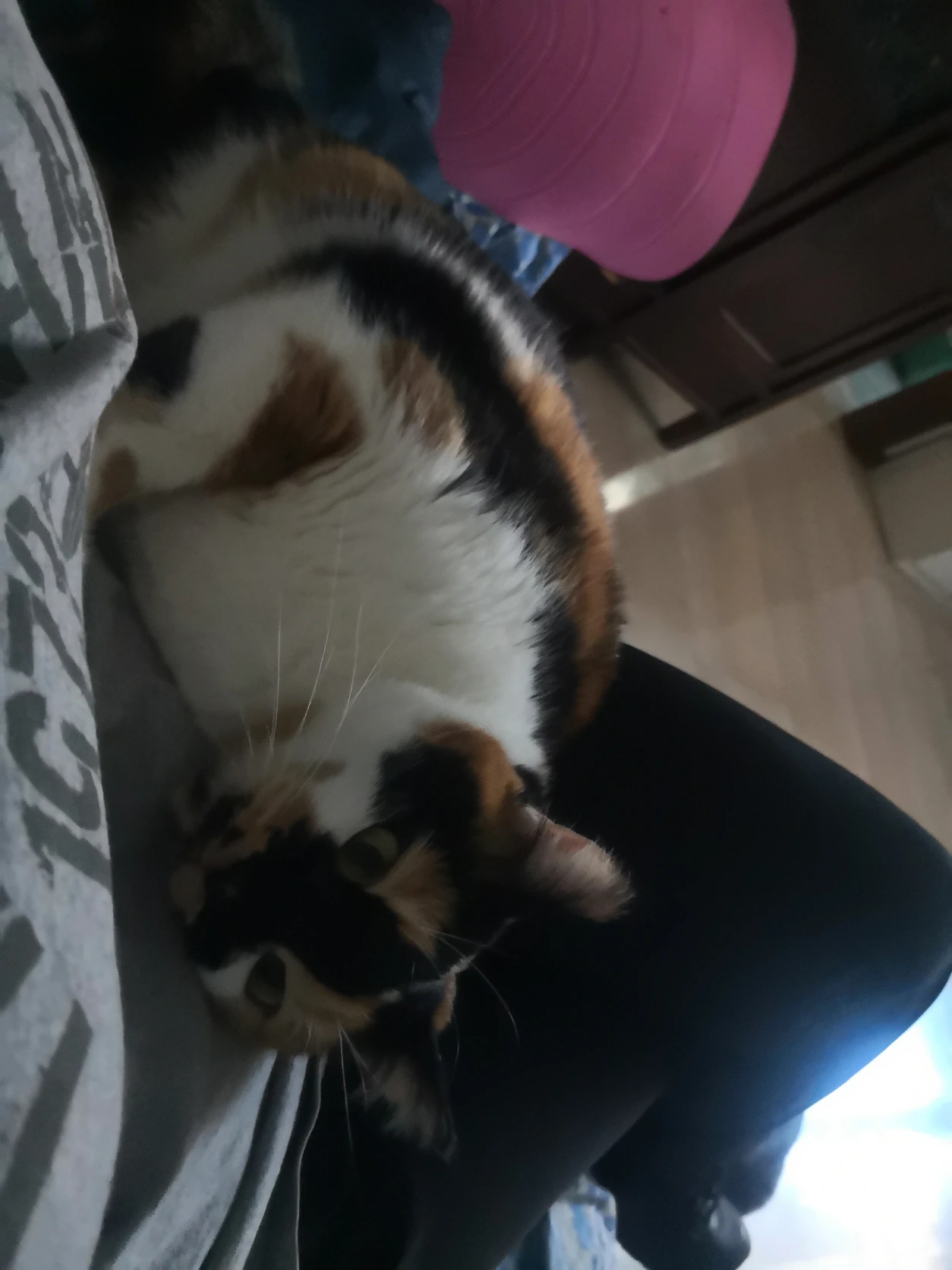 image-7