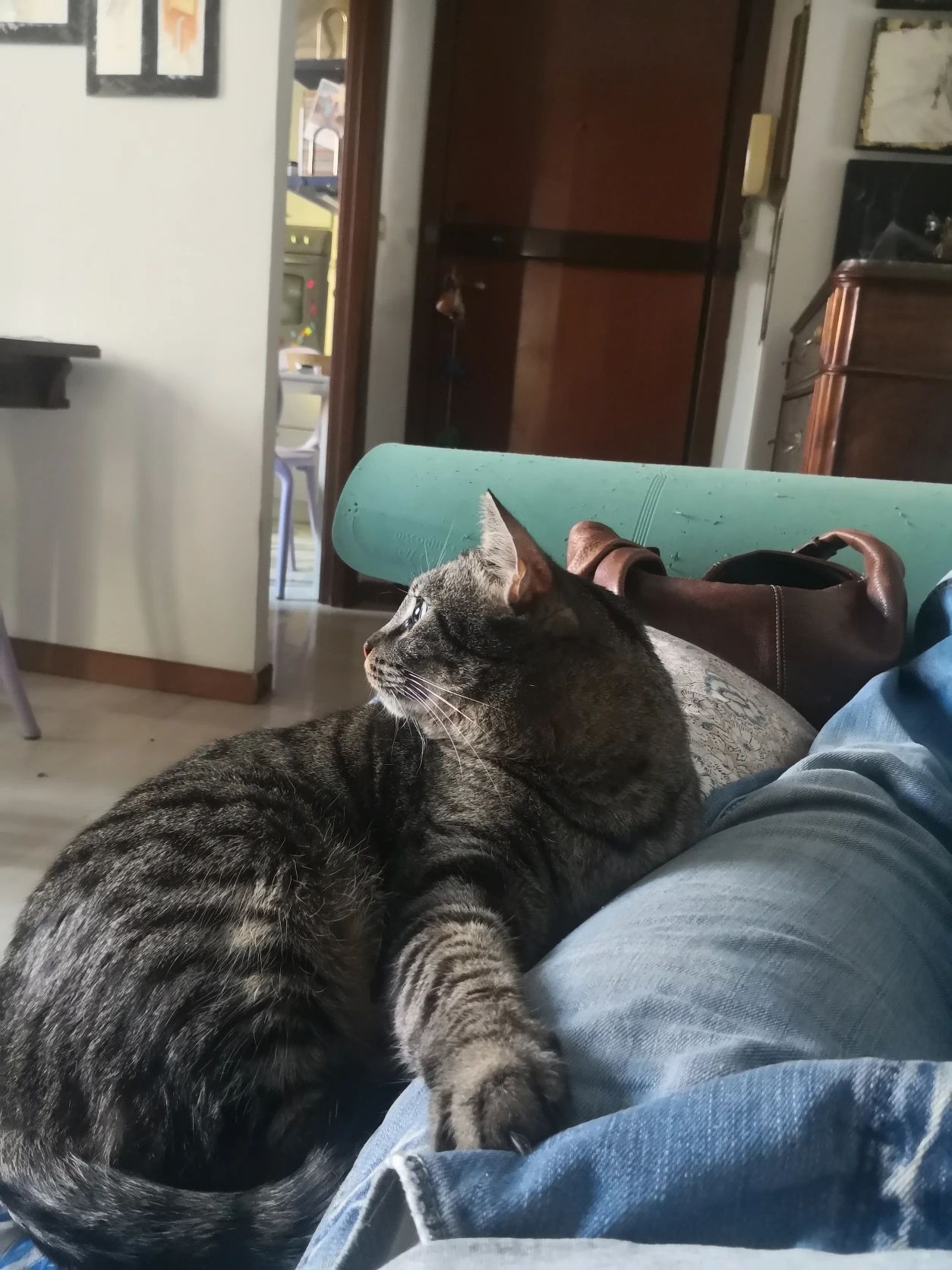 image-6