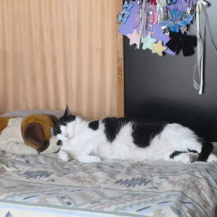 Gus
