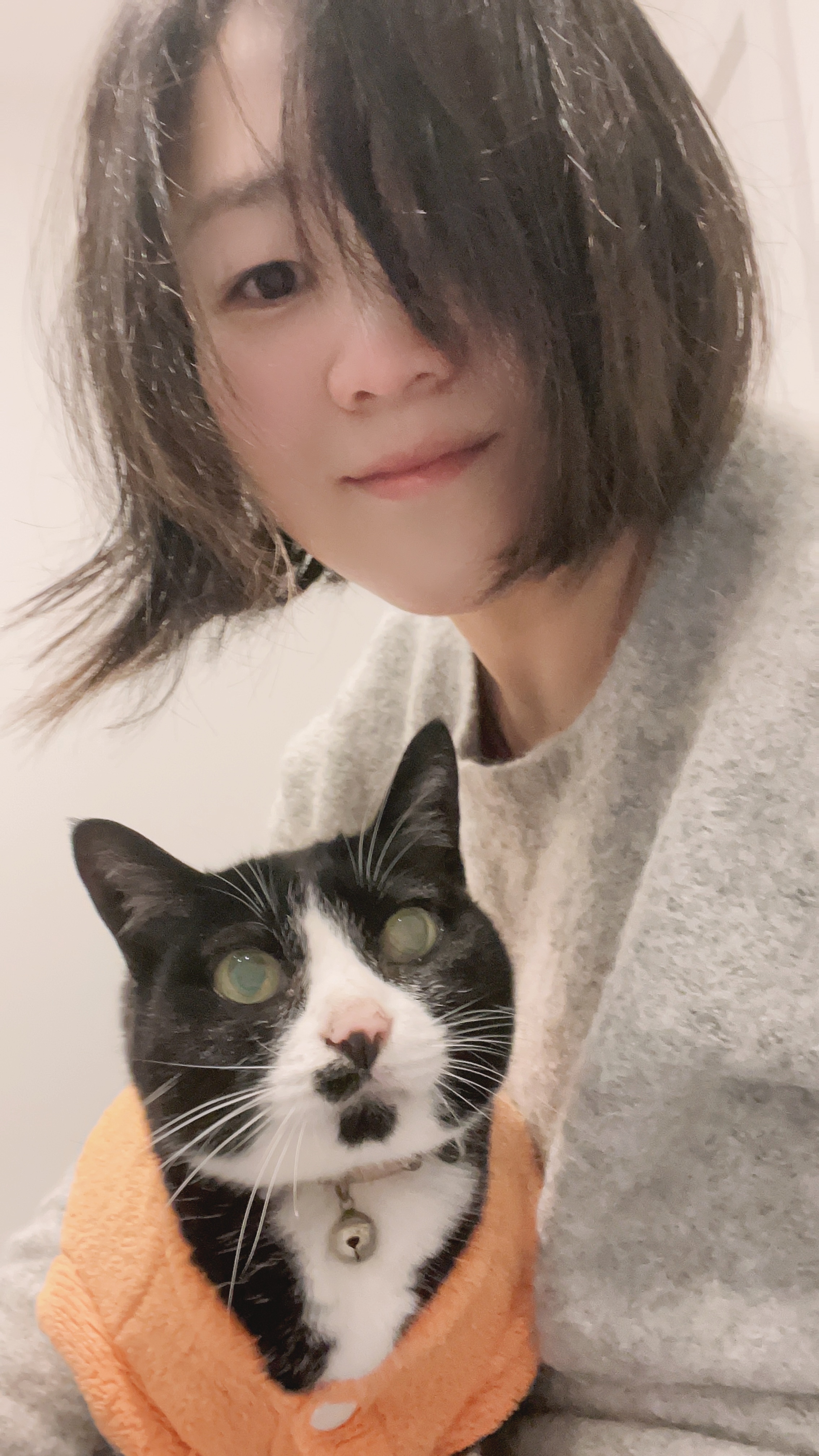 image-11