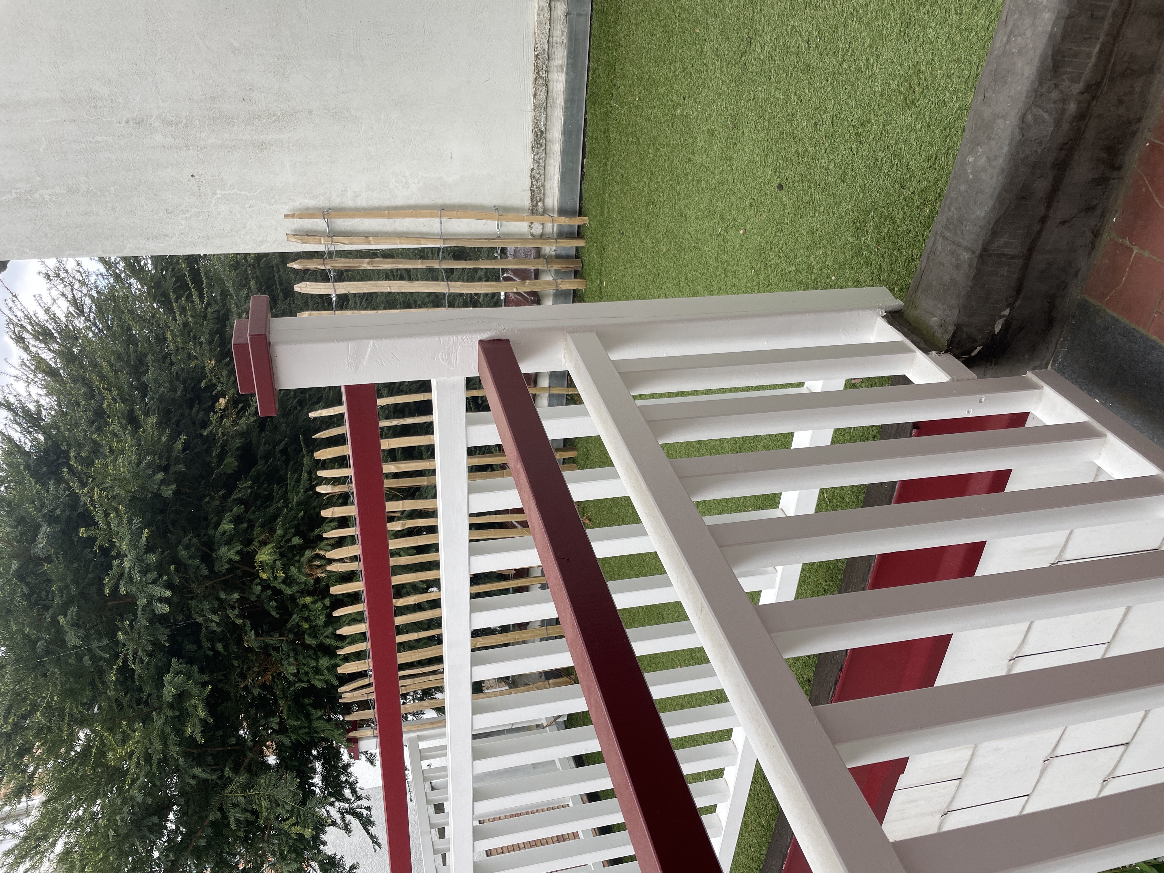 image-18