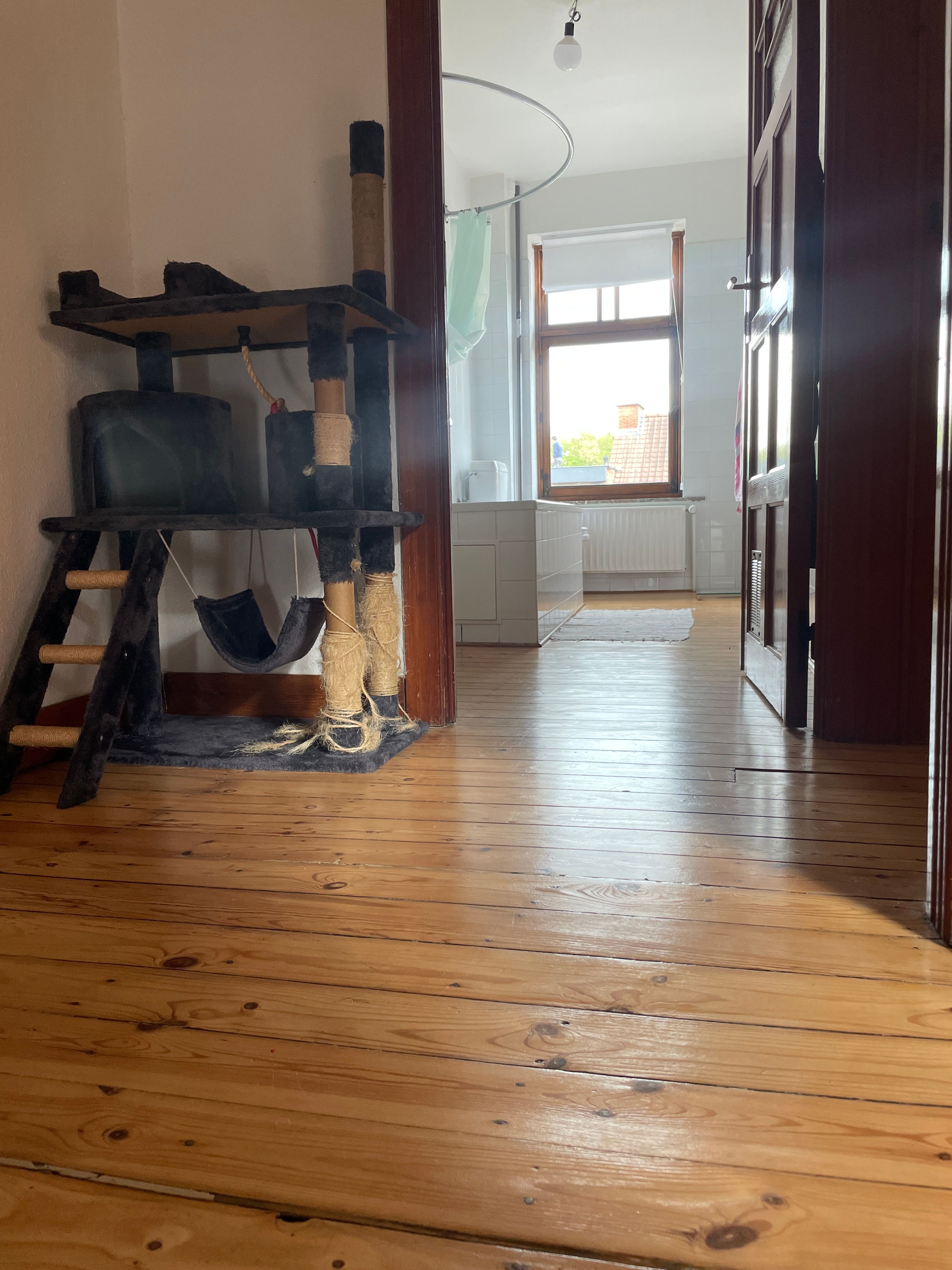 image-17