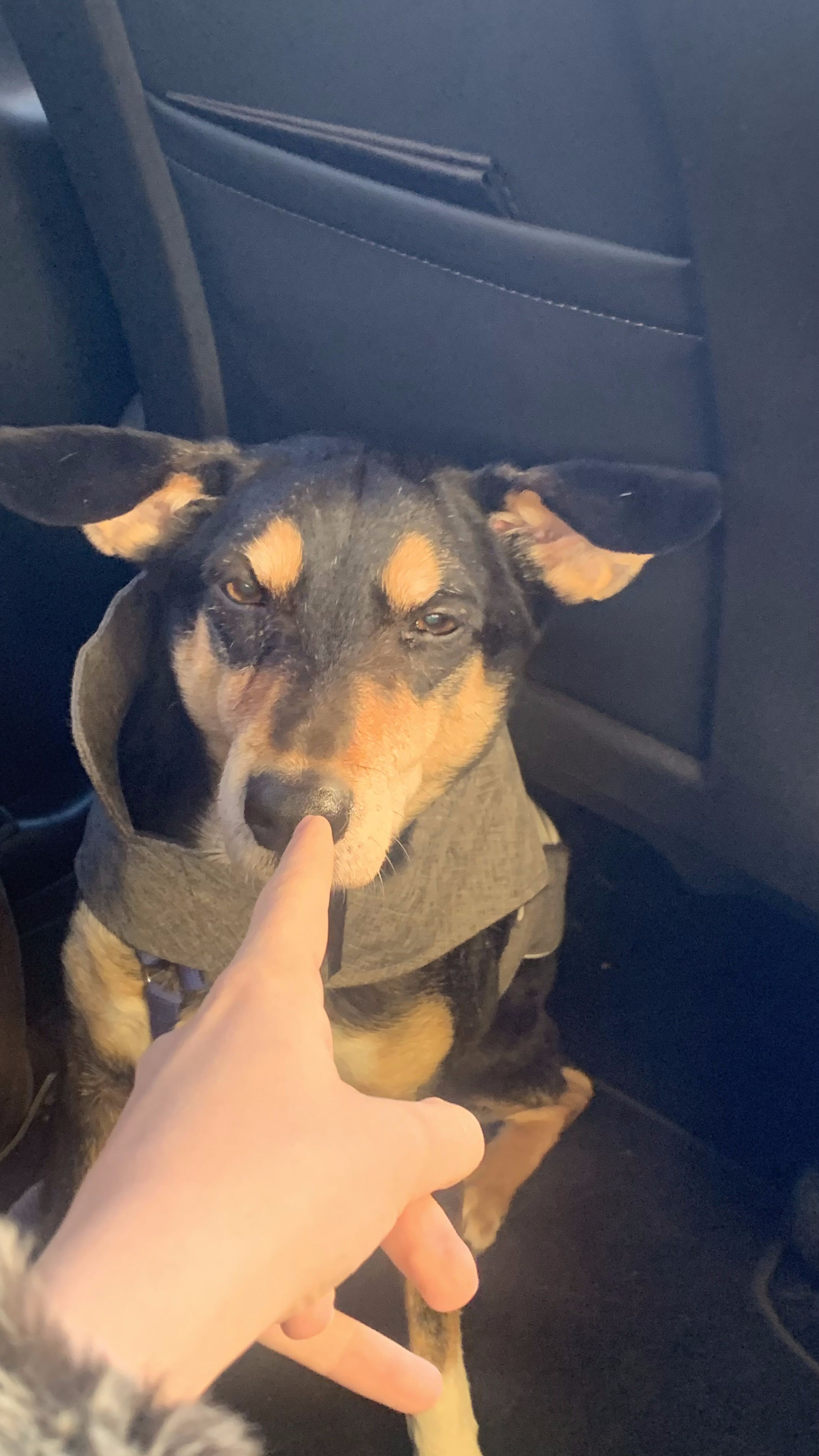 image-9