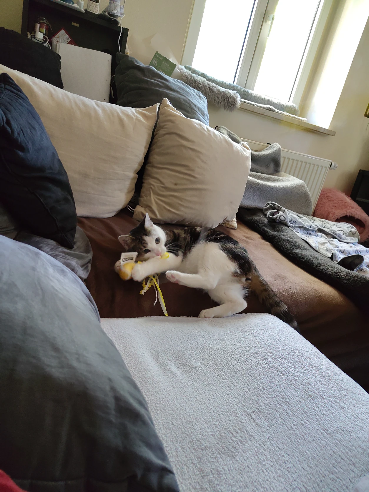 image-14